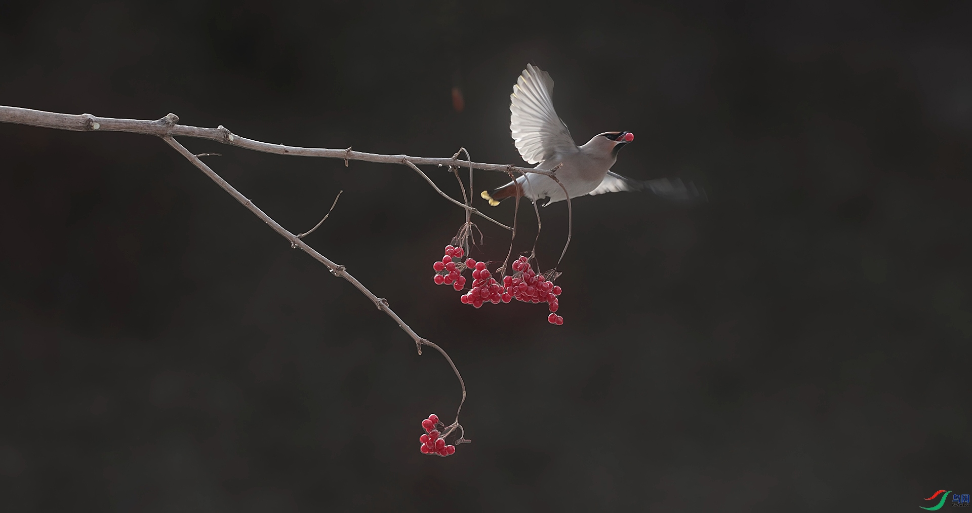 ��֡ 2026-02-20 122741_1.1.13.jpg