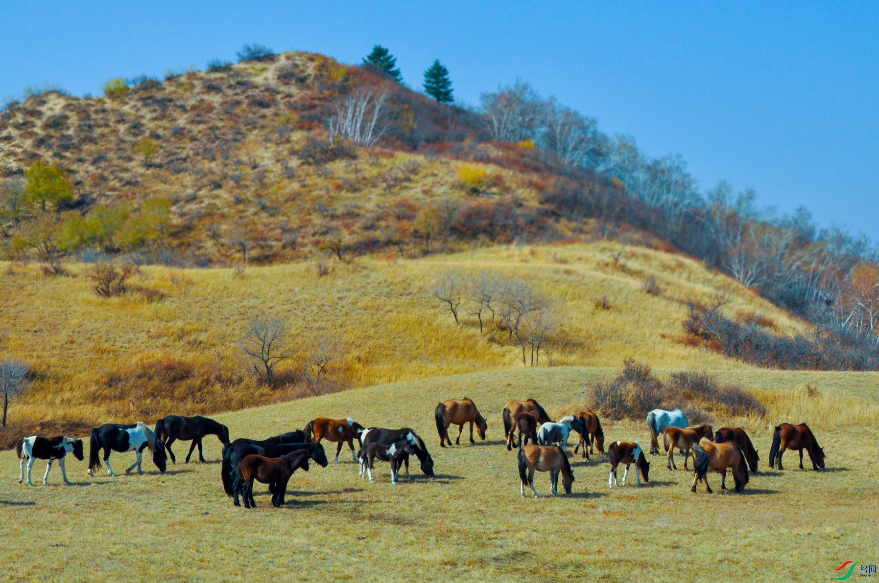 DSC_0160 ����.jpg