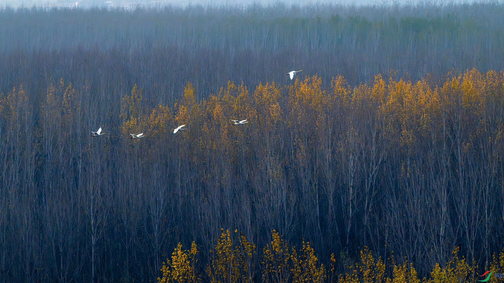 _DSC2756.jpg