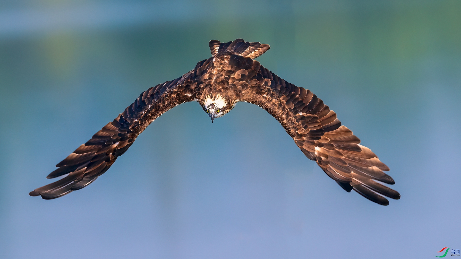 DSC_1871 ���� 301.jpg