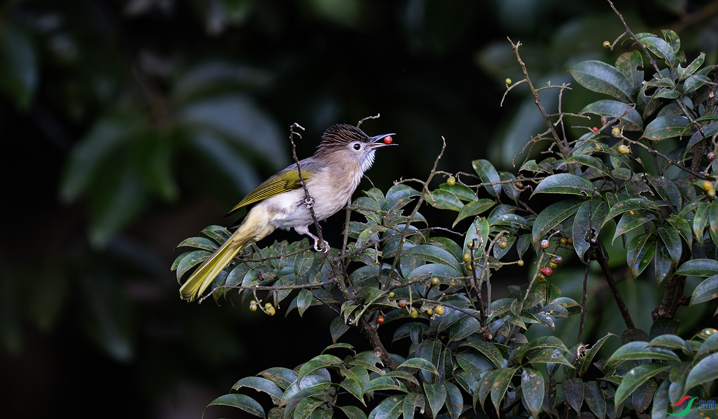 _DSC6048-����ǿ-NR ����.jpg