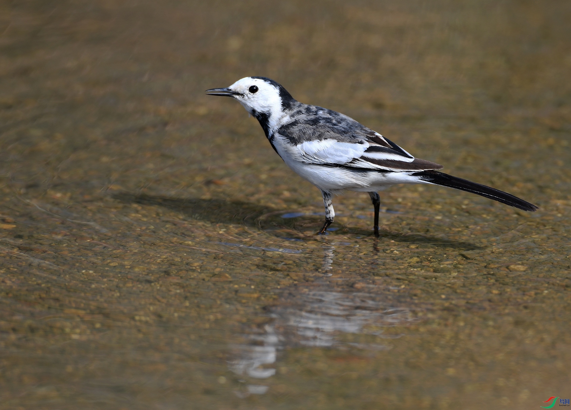 DSC_2942.jpg