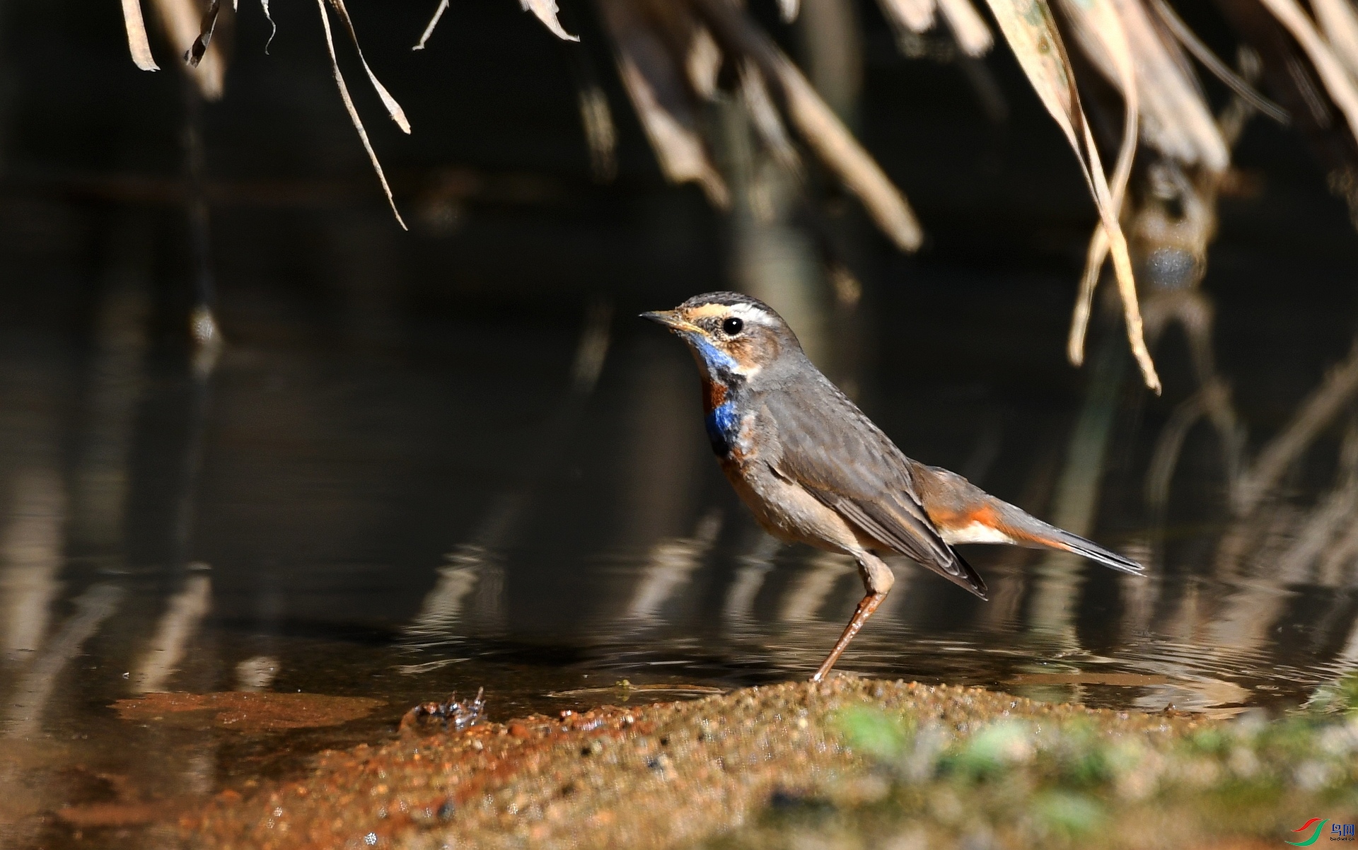 DSC_4941.jpg