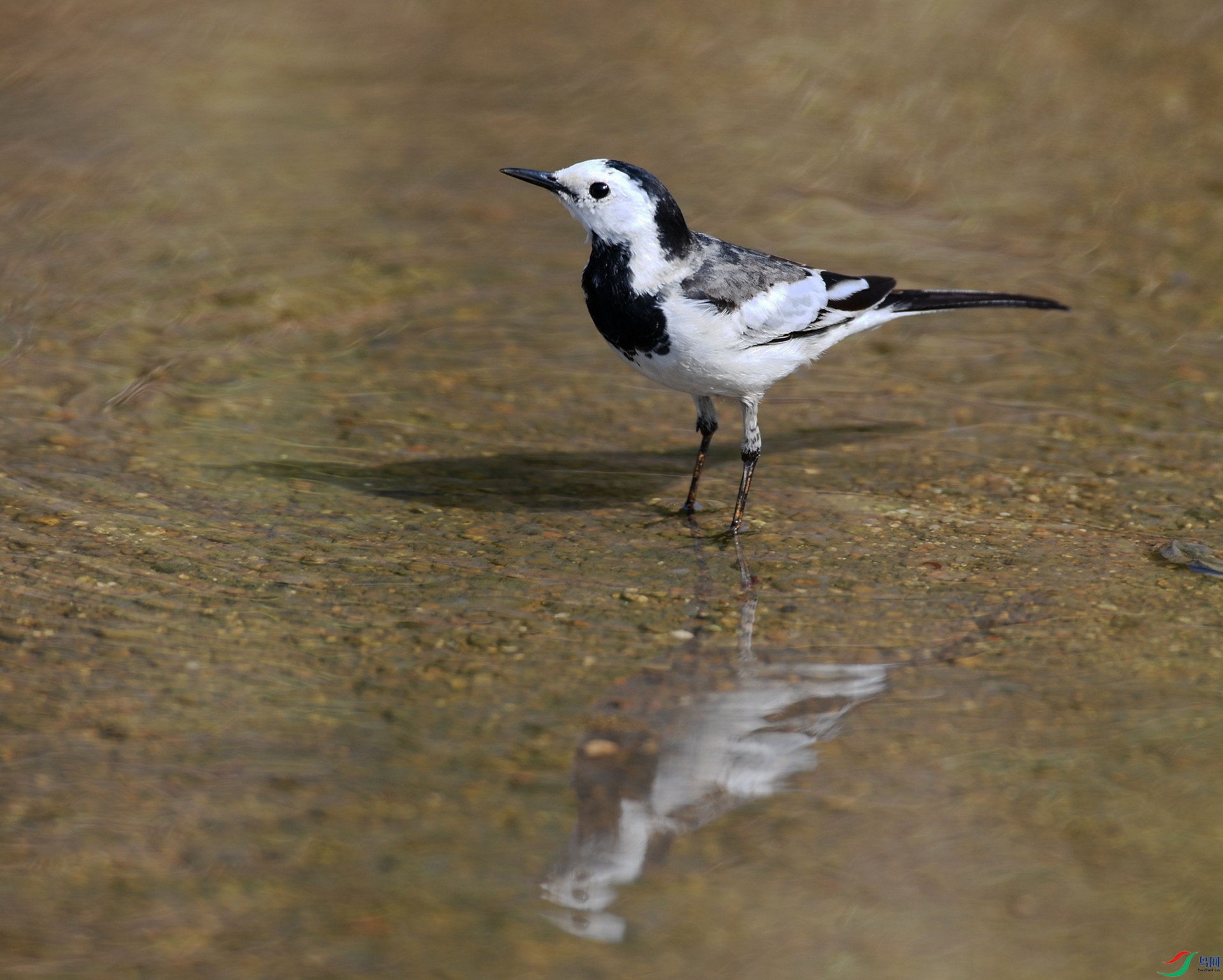 DSC_2932.jpg