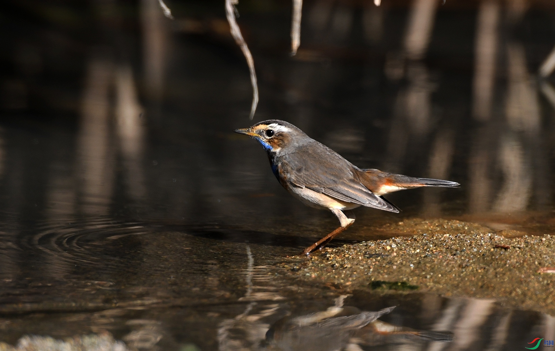 DSC_4969.jpg