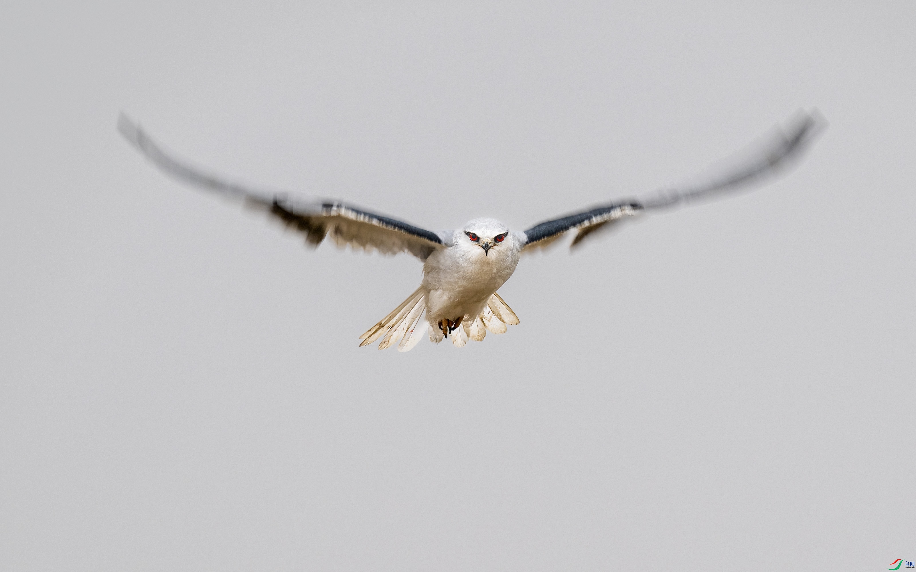 DSC_0252-1.jpg