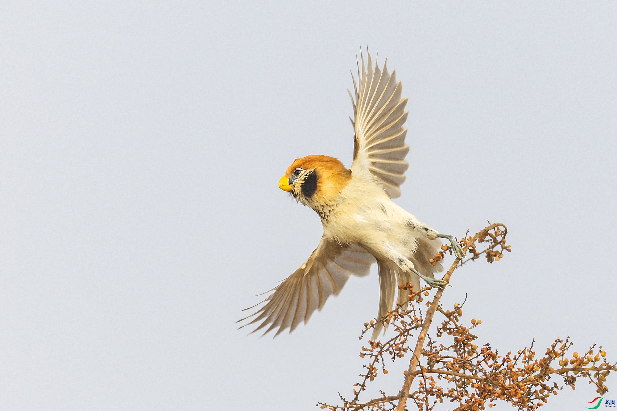 0F7A8778 ����  ����ѻȸ.jpg