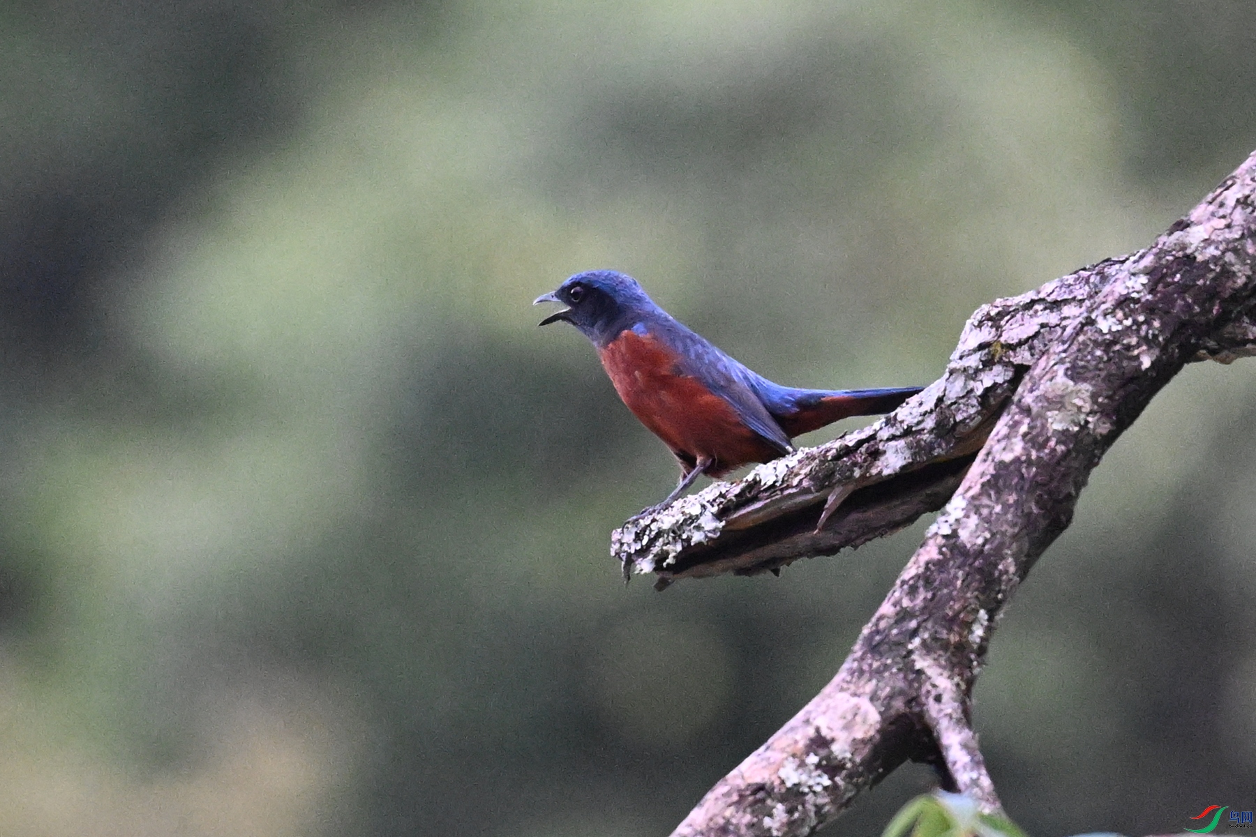 DSC_1866.JPG