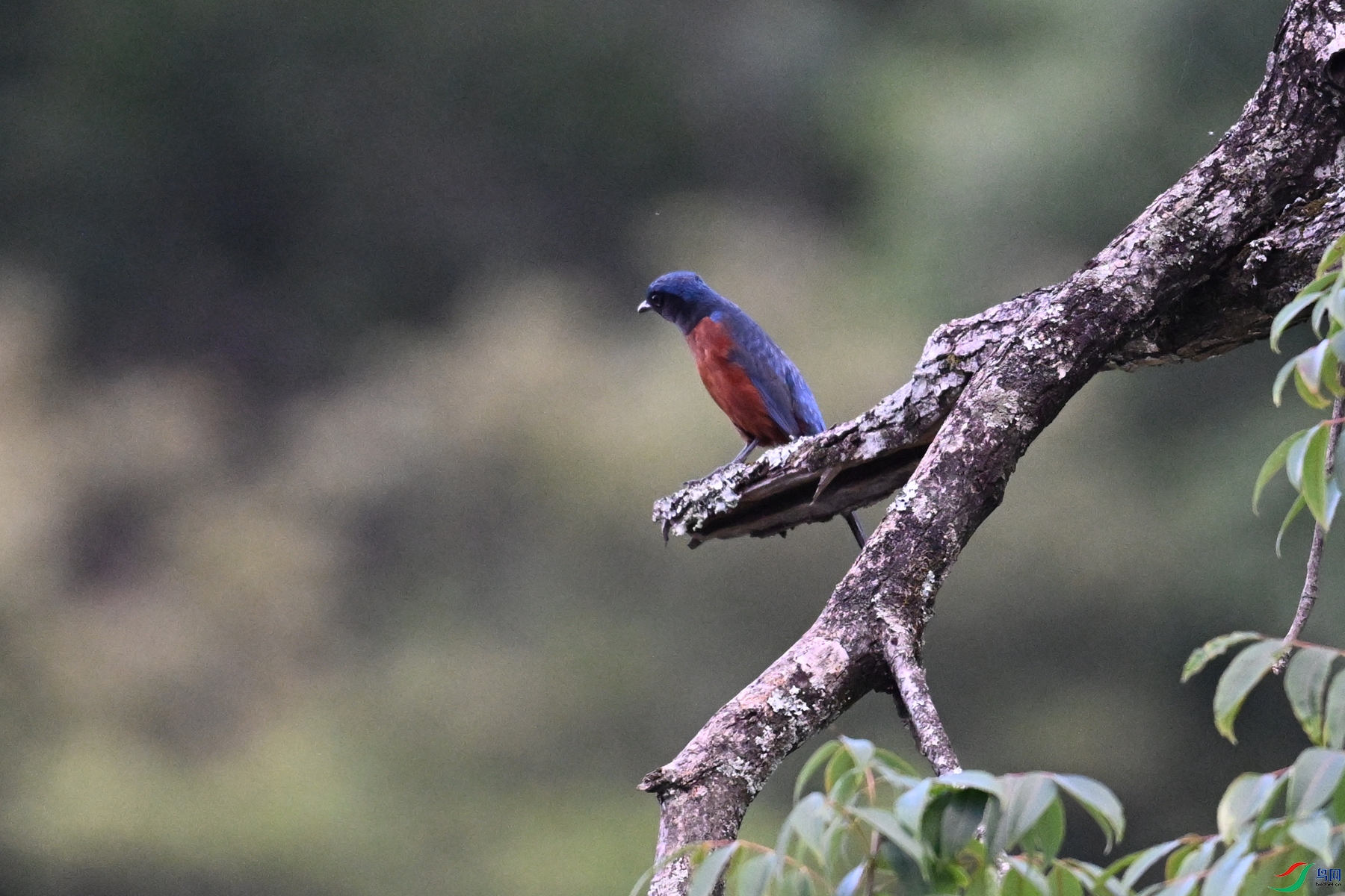 DSC_1838.JPG