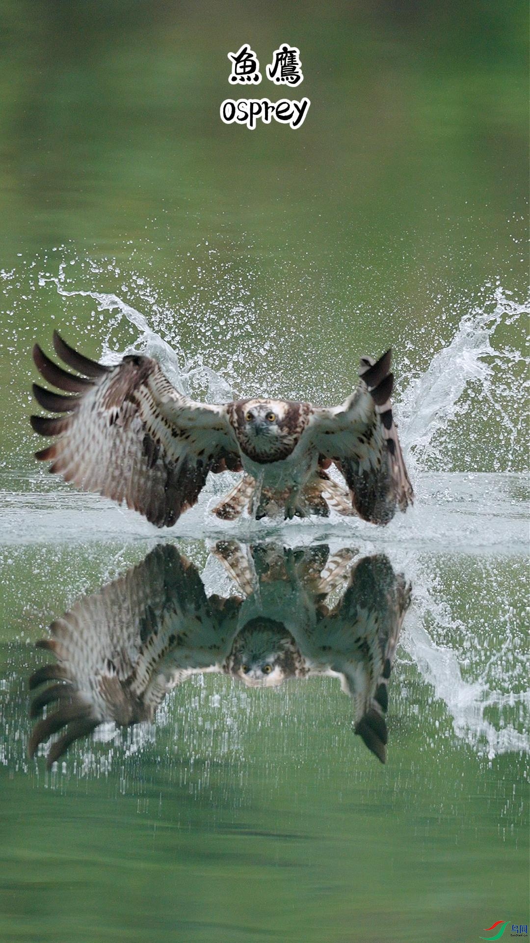 2��20�� (1)(1)-����.jpg