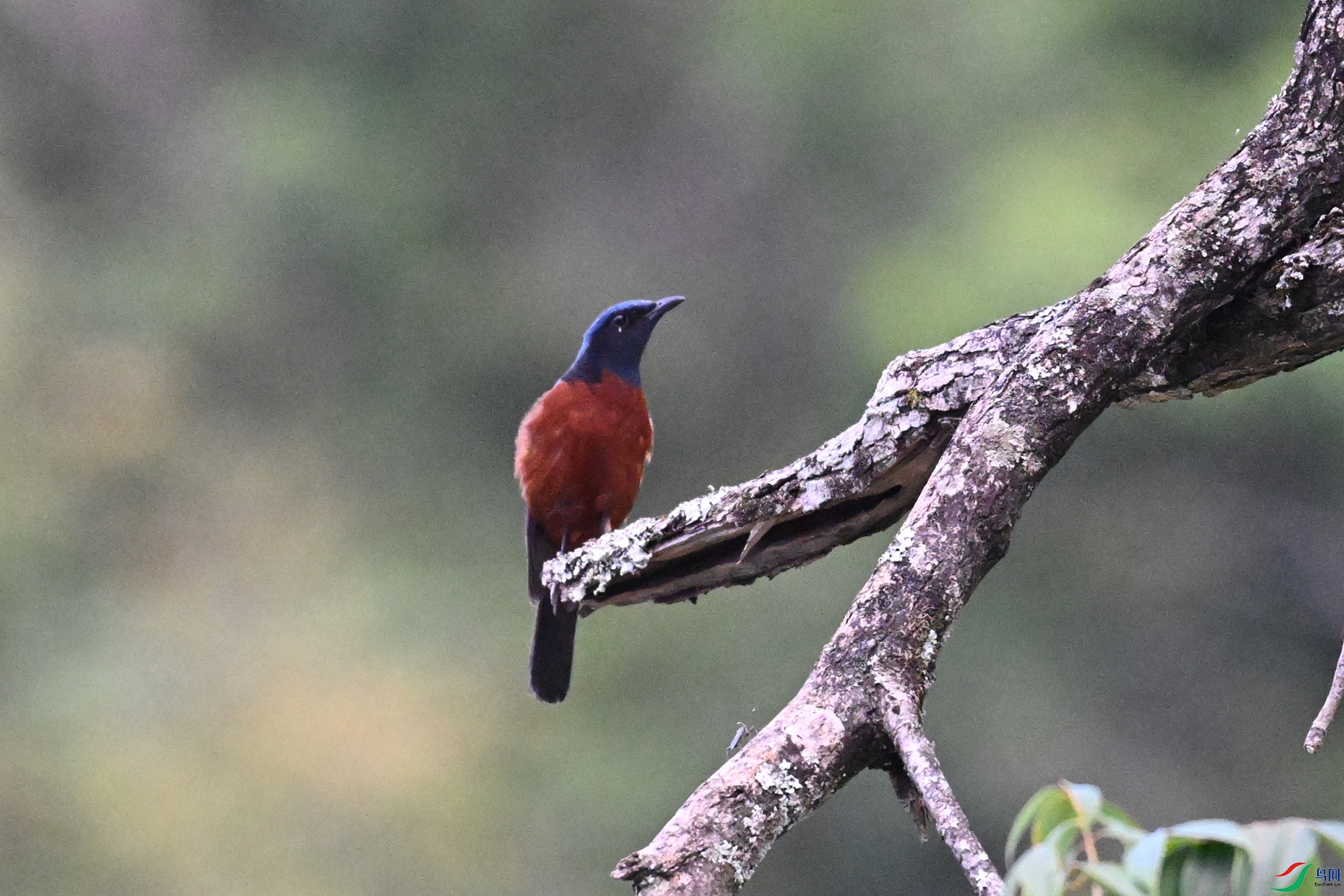 DSC_1888.JPG