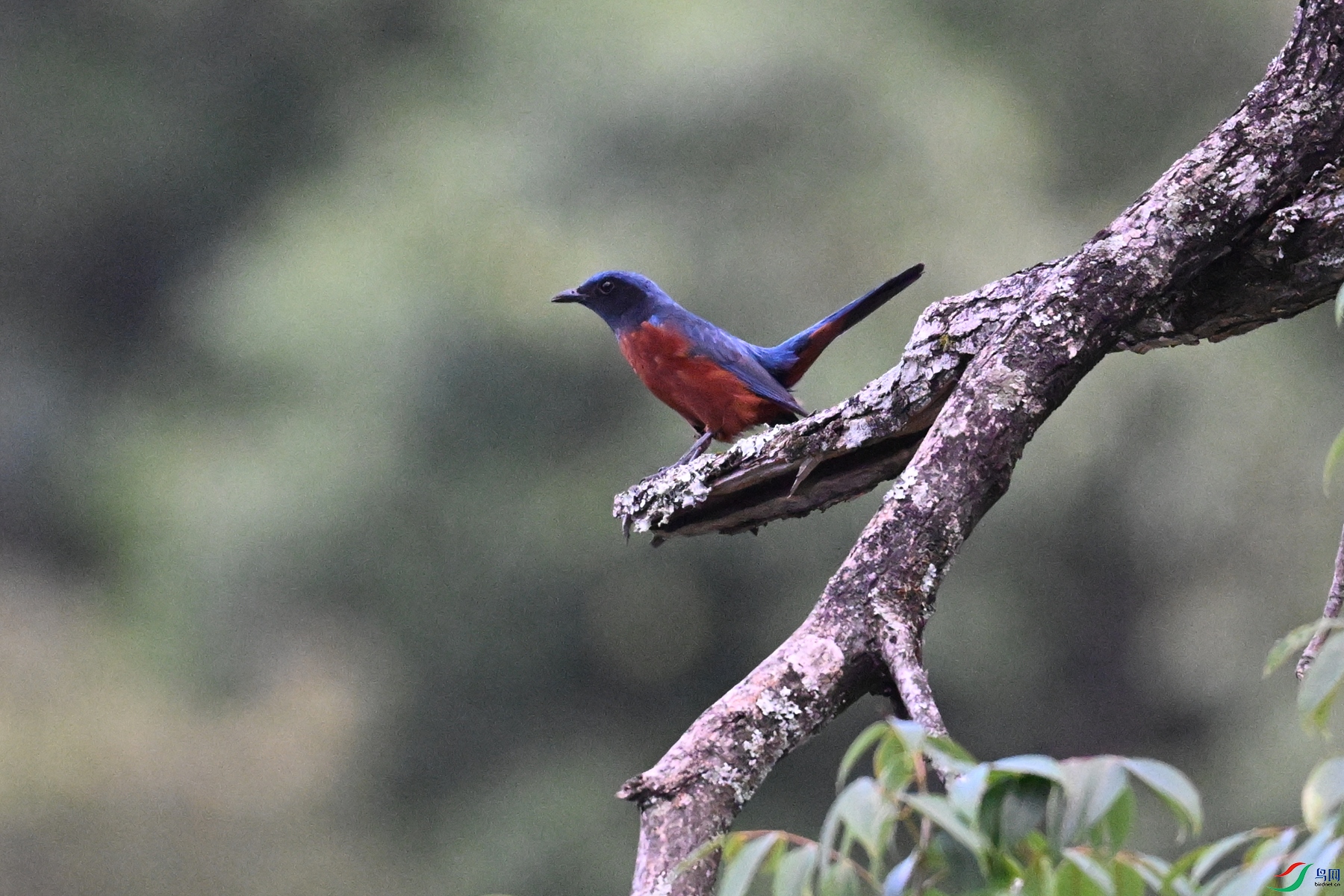 DSC_1848.JPG