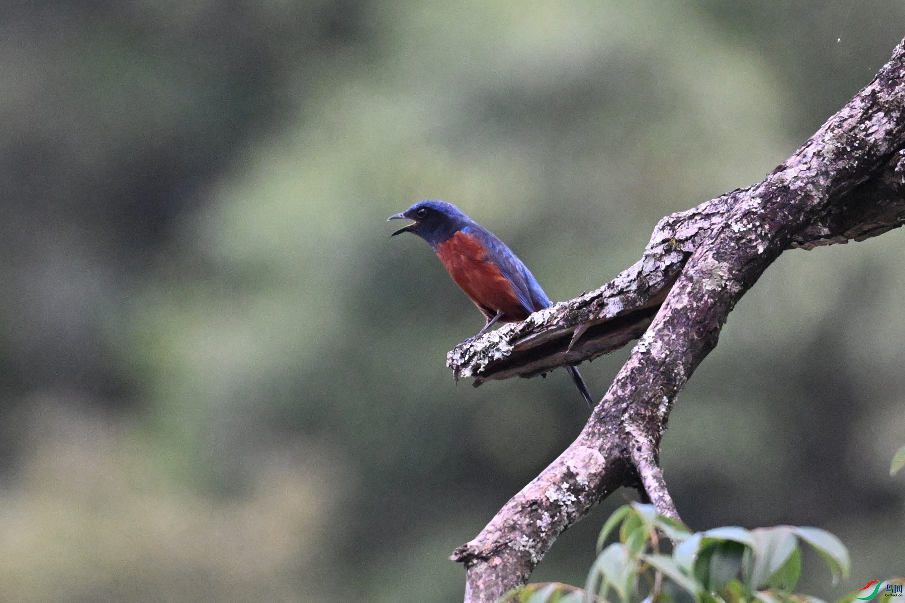 DSC_1884.JPG