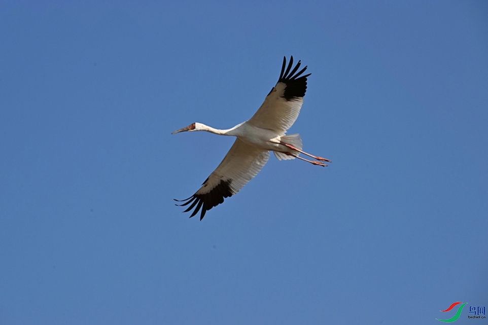 ������졣