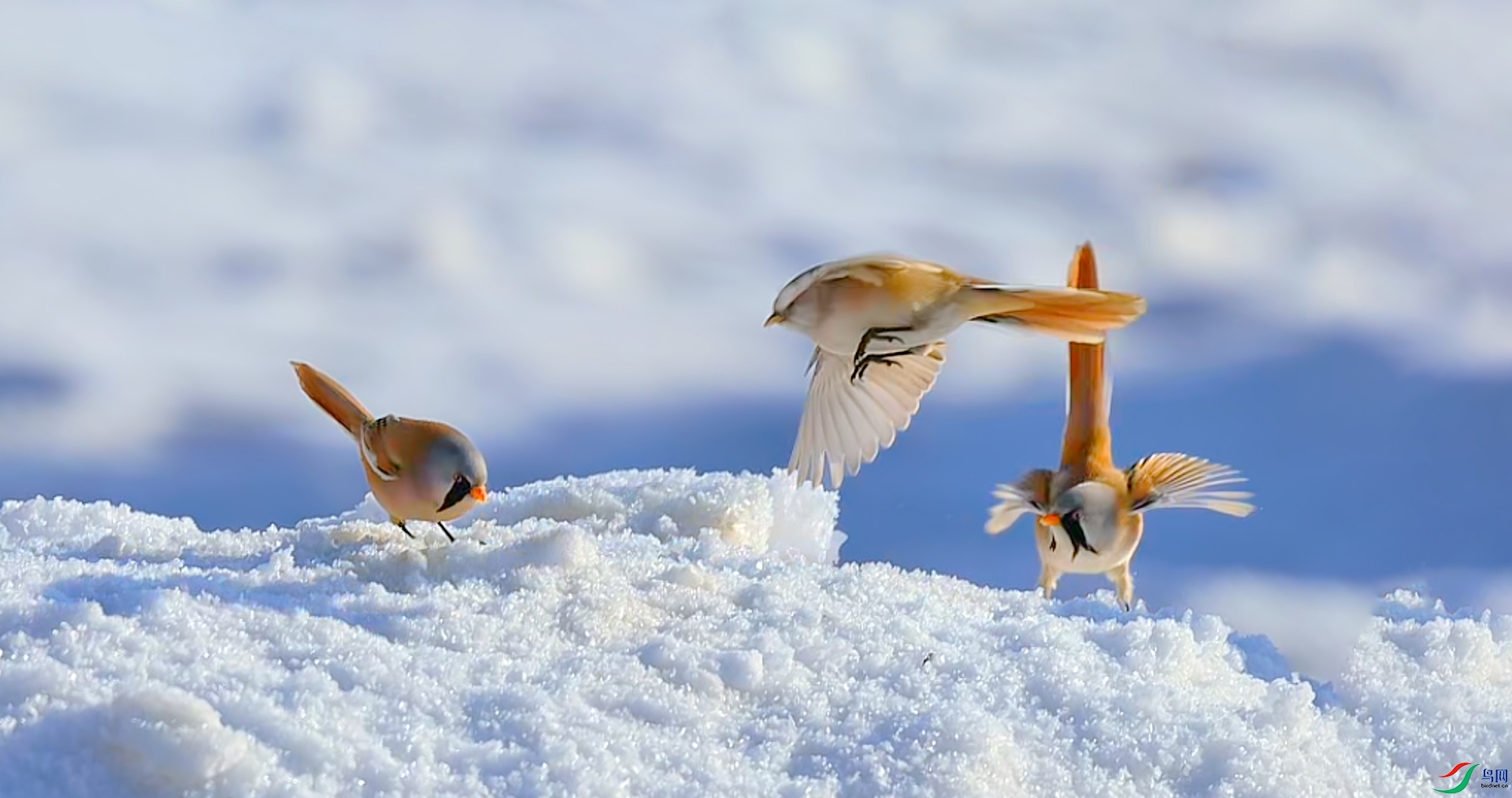 2��20�� (1)(3).jpg