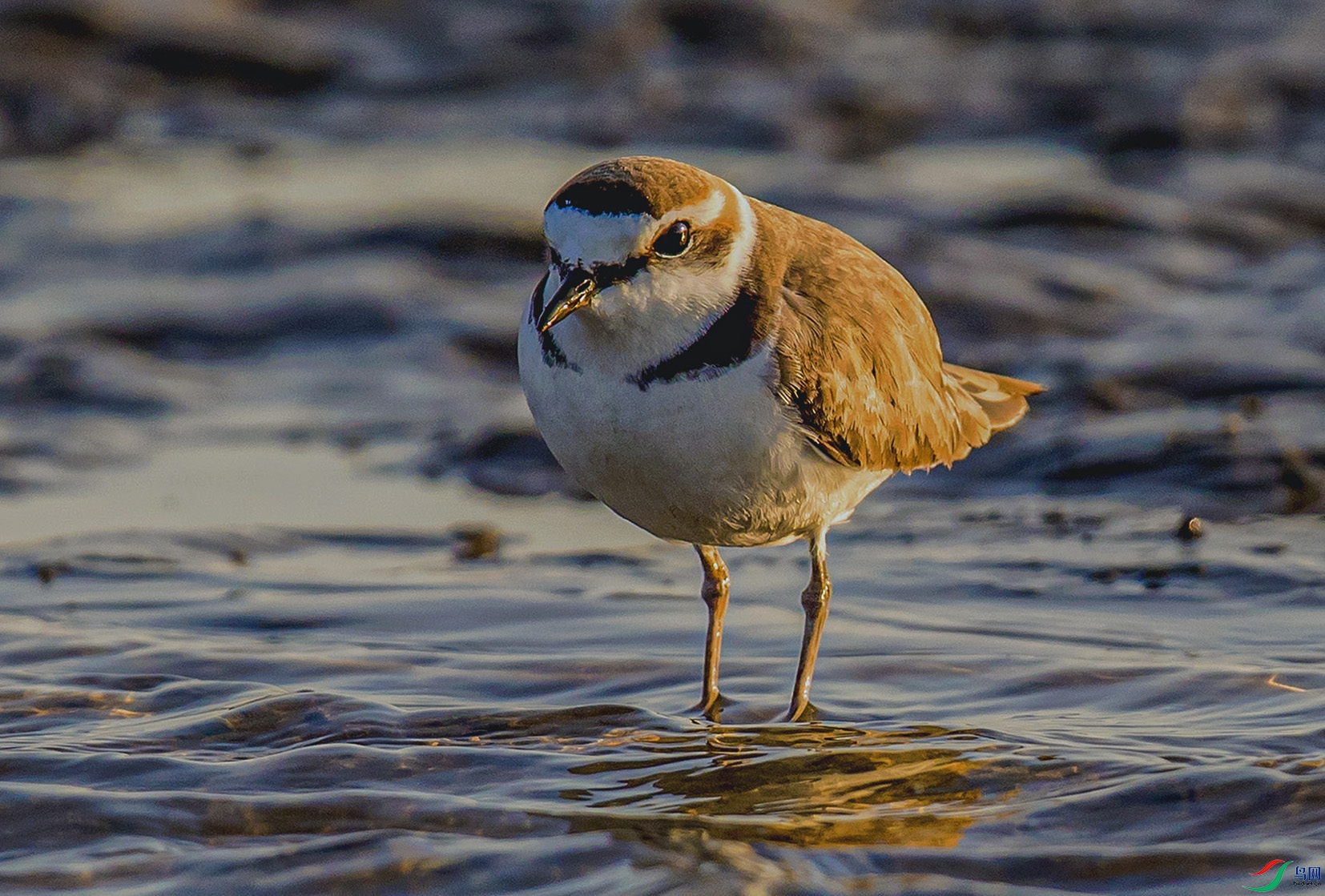 _90I8359 ���� 2.jpg