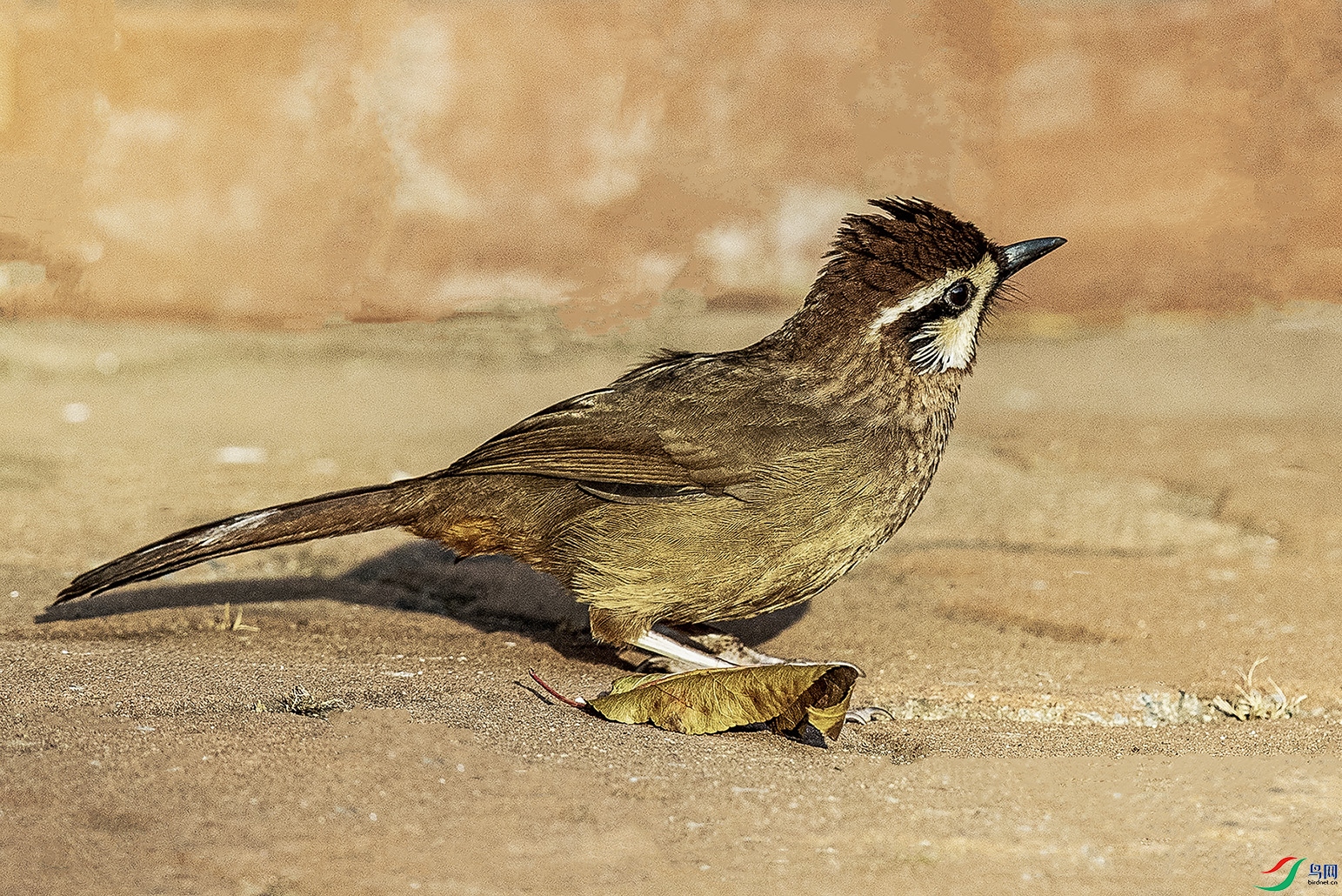 _90I9656 ���� 2.jpg