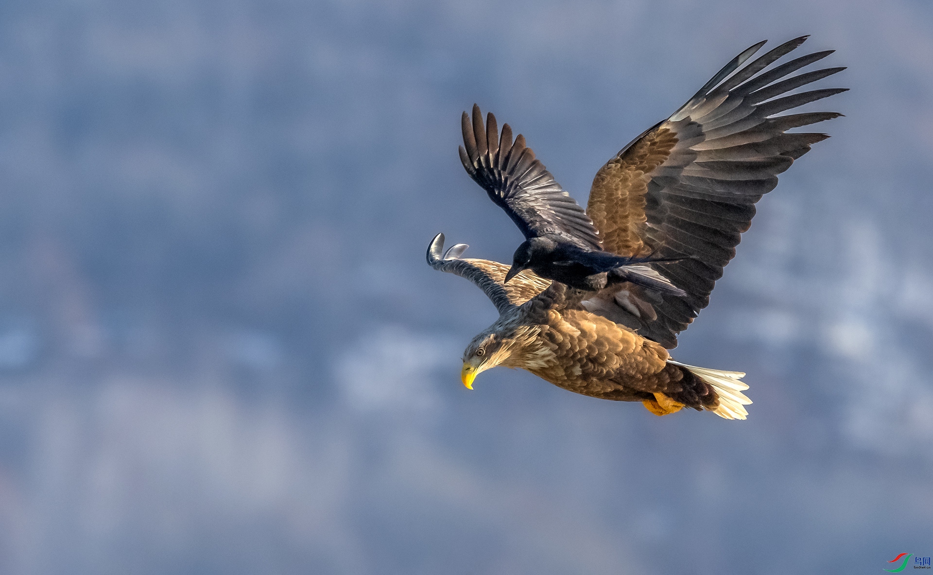 0E8A1825  ���  03.jpg