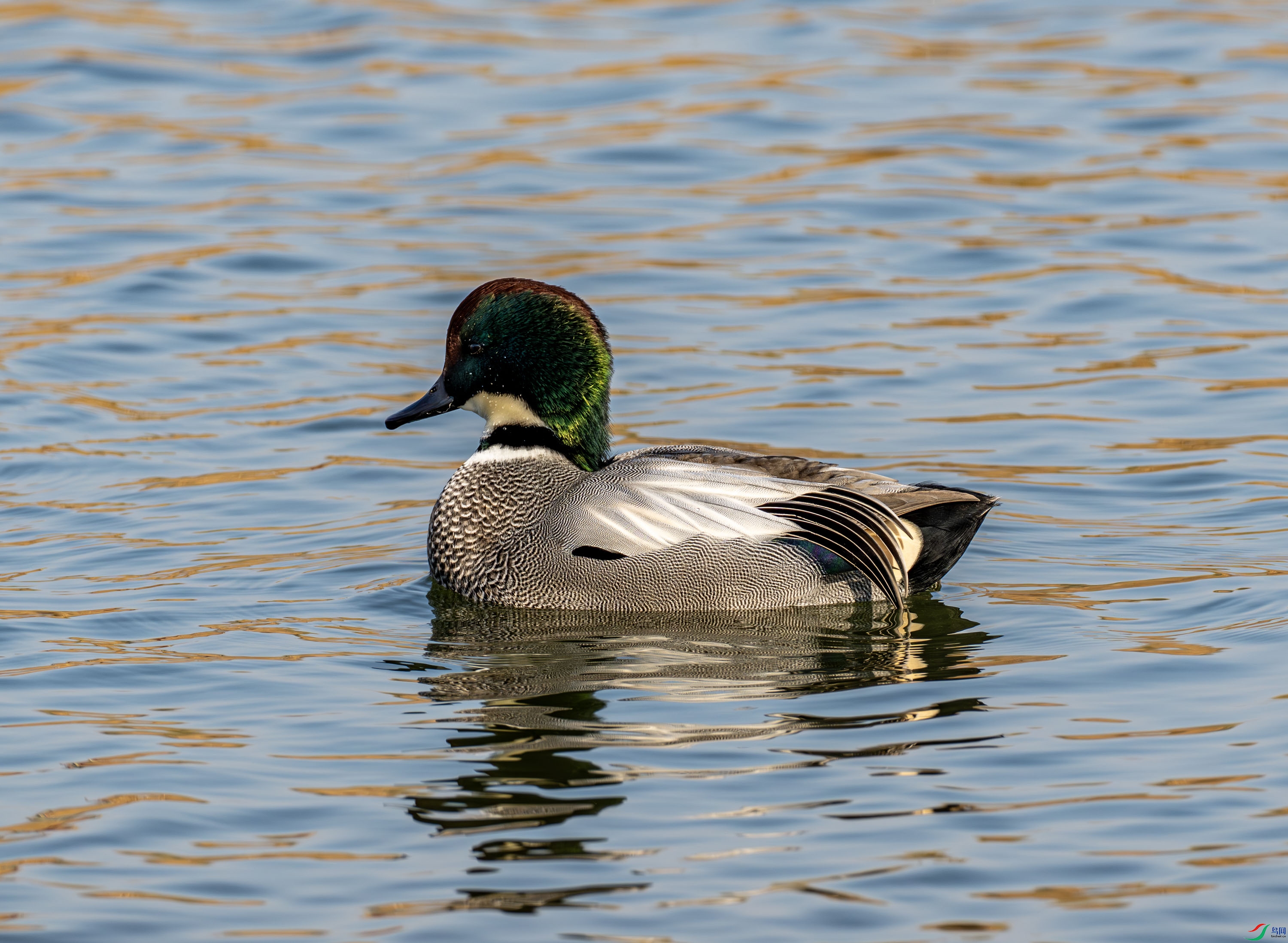 ����Ѽ-01-1 (16).jpg