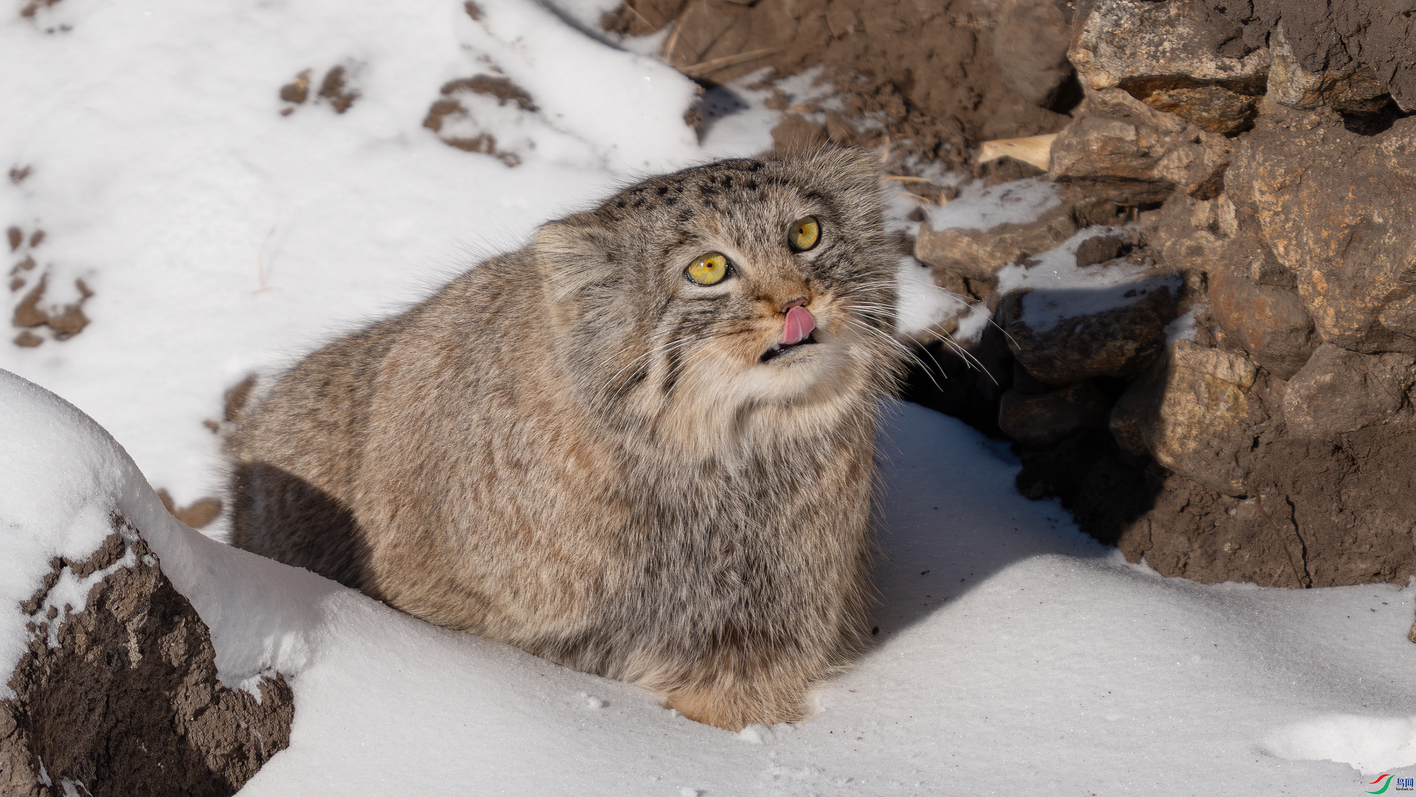 _DSC9837 ����.jpg