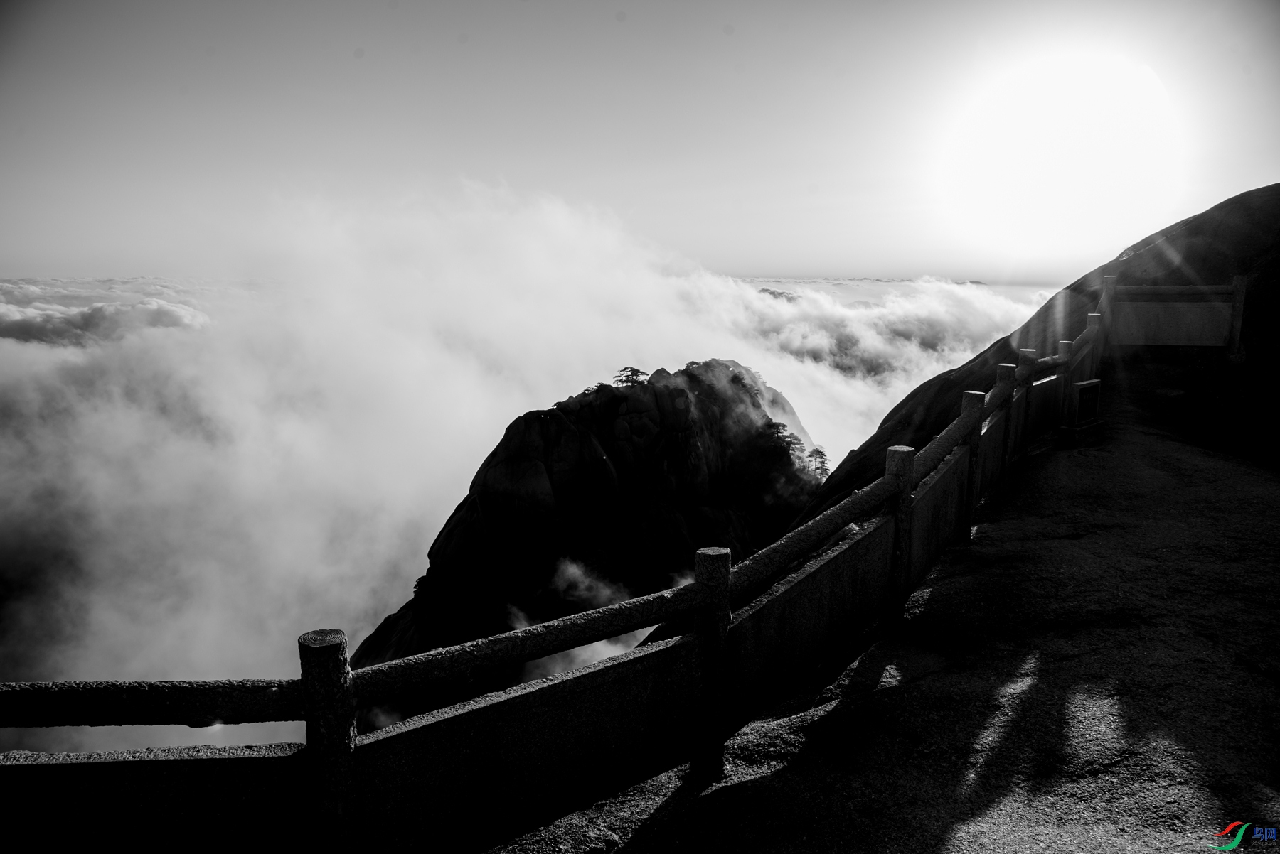 DSC_6210 ����_����.jpg