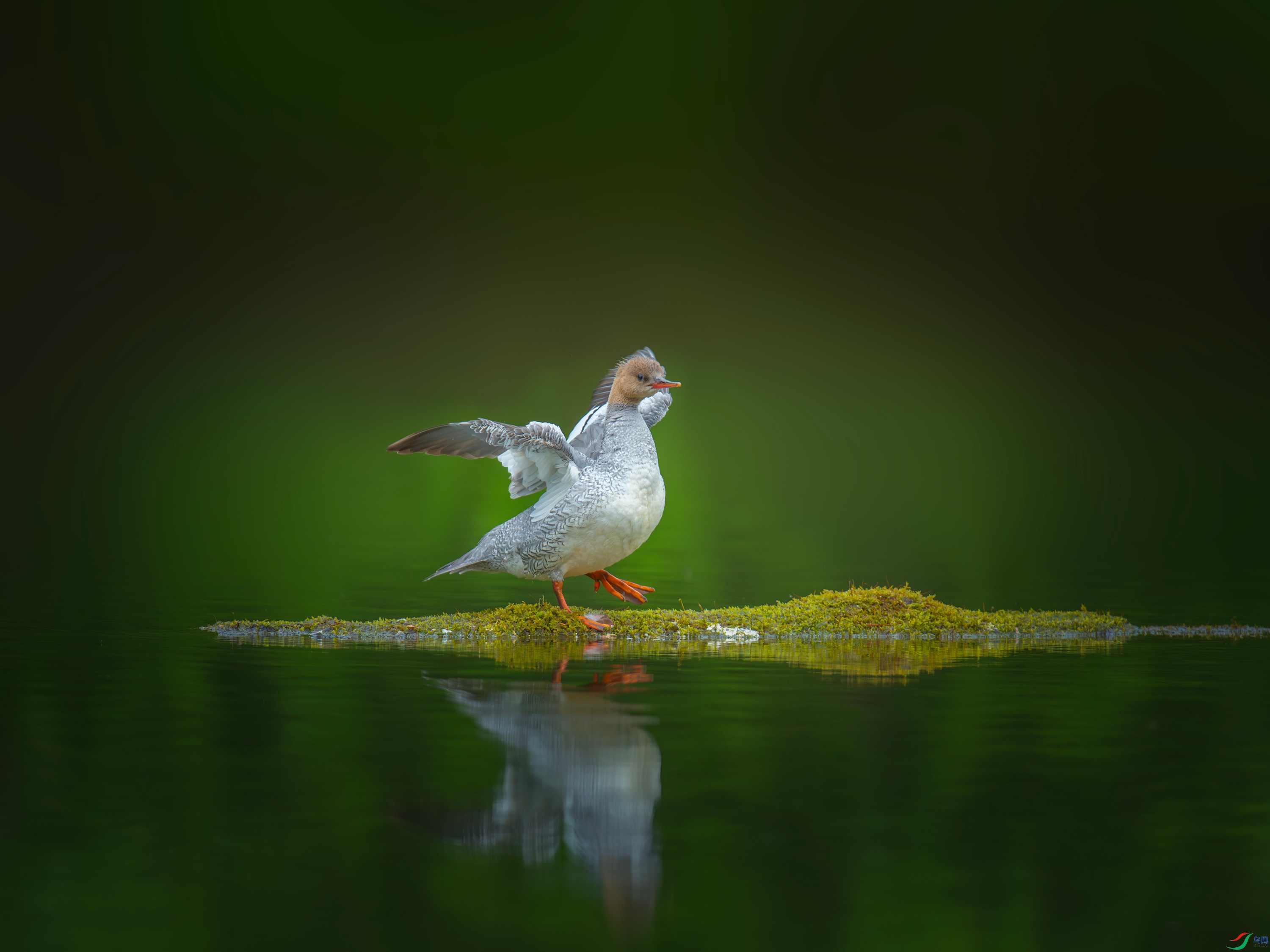 �л���ɳѼ (27).jpg