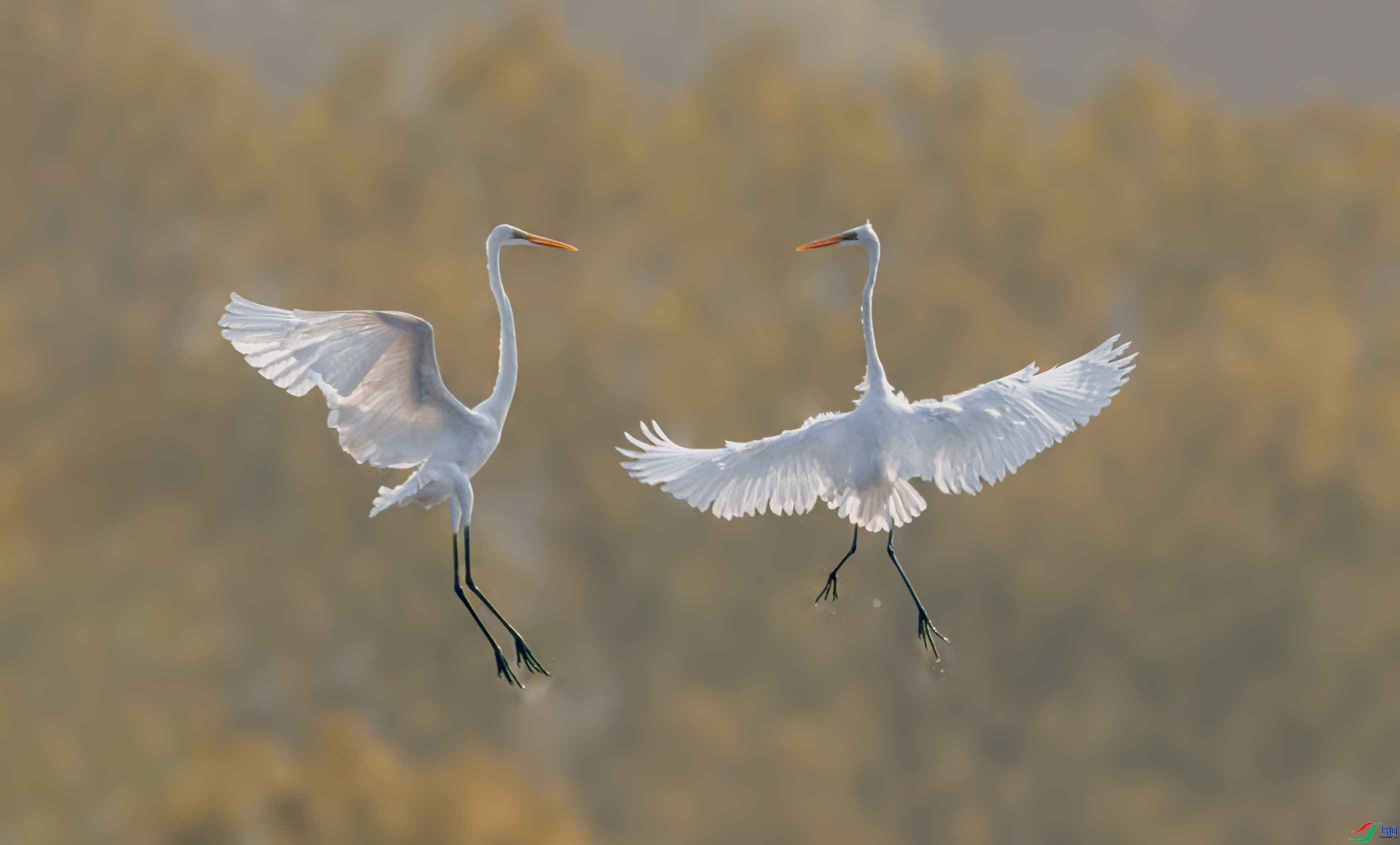 2.16������ʦ��Ʒ   ����ã�ף����ʦ����Ӱʦ������.jpg