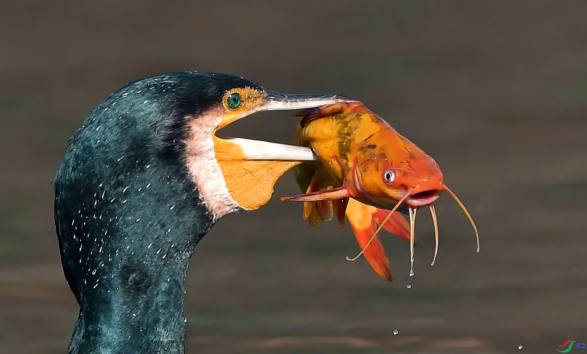 2.20��ѧ��Ӱ��ʦ��Ʒ  �������μǣ�ף���ٻ����������.jpg