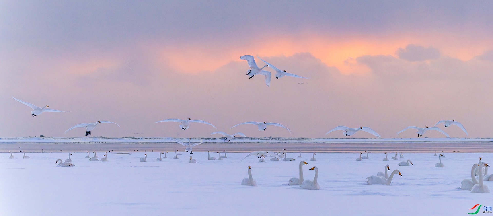 2.19С������ʦ��Ʒ   ѩ����ʹ��ף���ٻ�ÿ�ռ�����.jpg