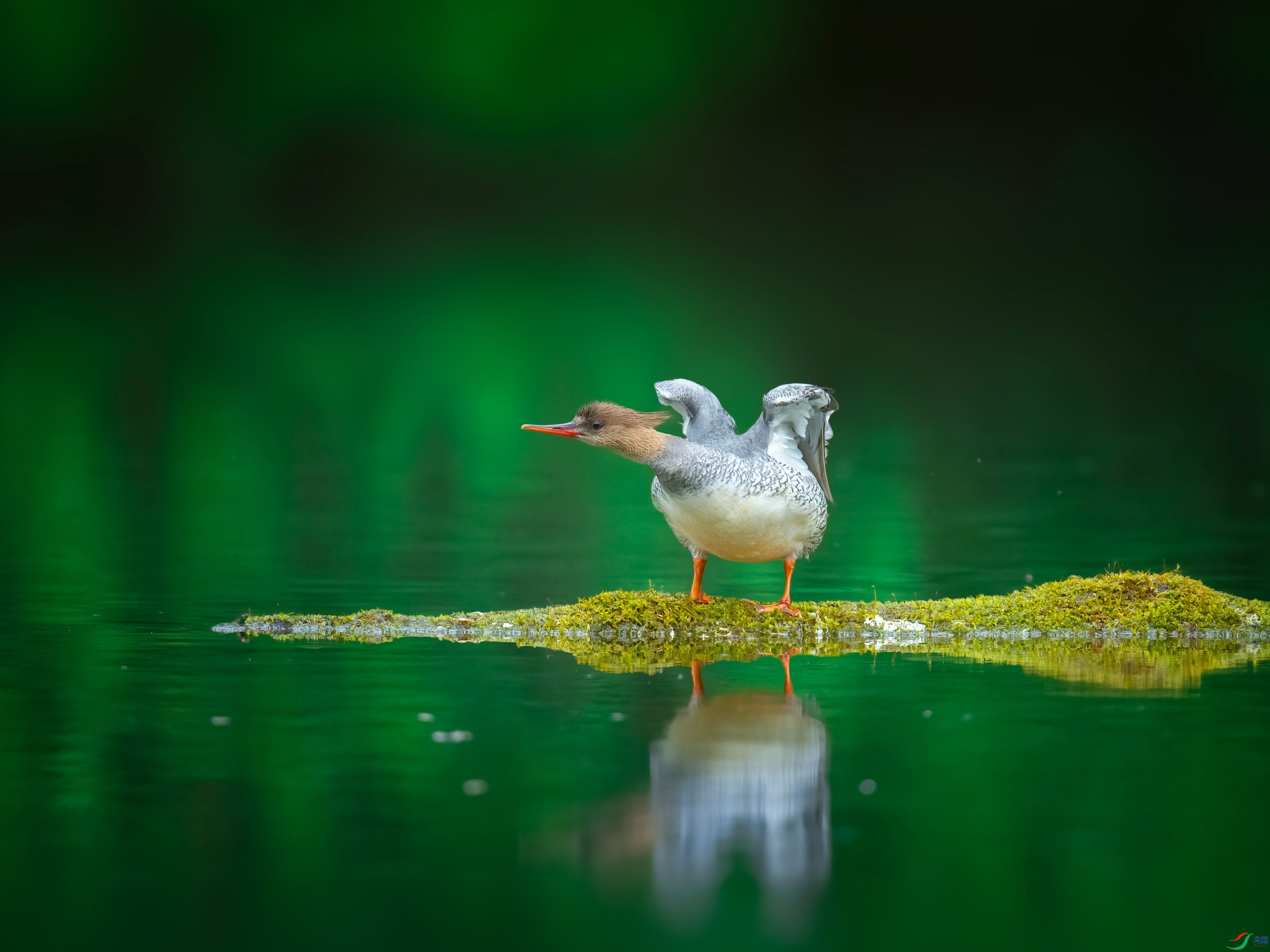 �л���ɳѼ (33).jpg