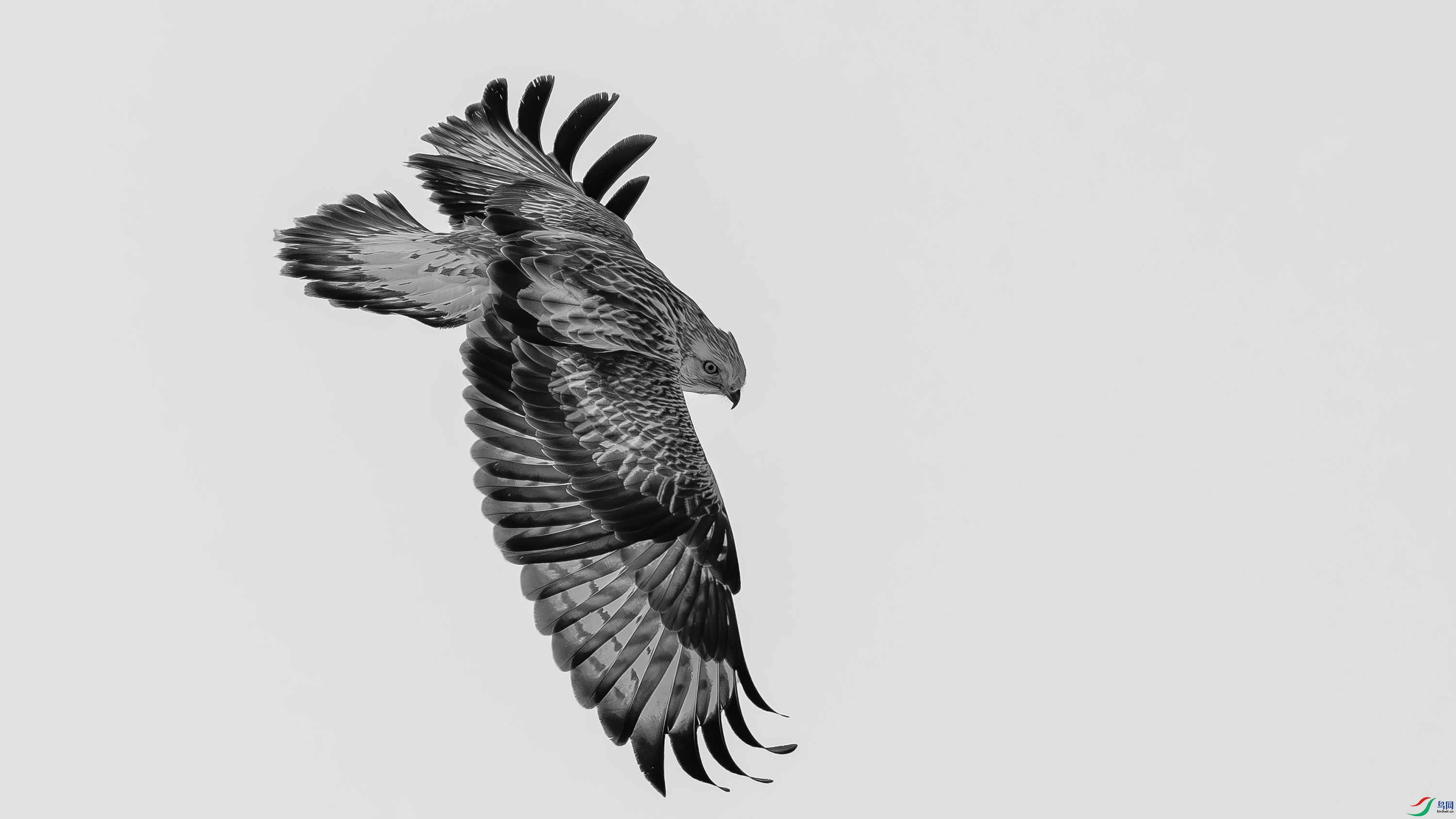 DSC05469 ����.jpg