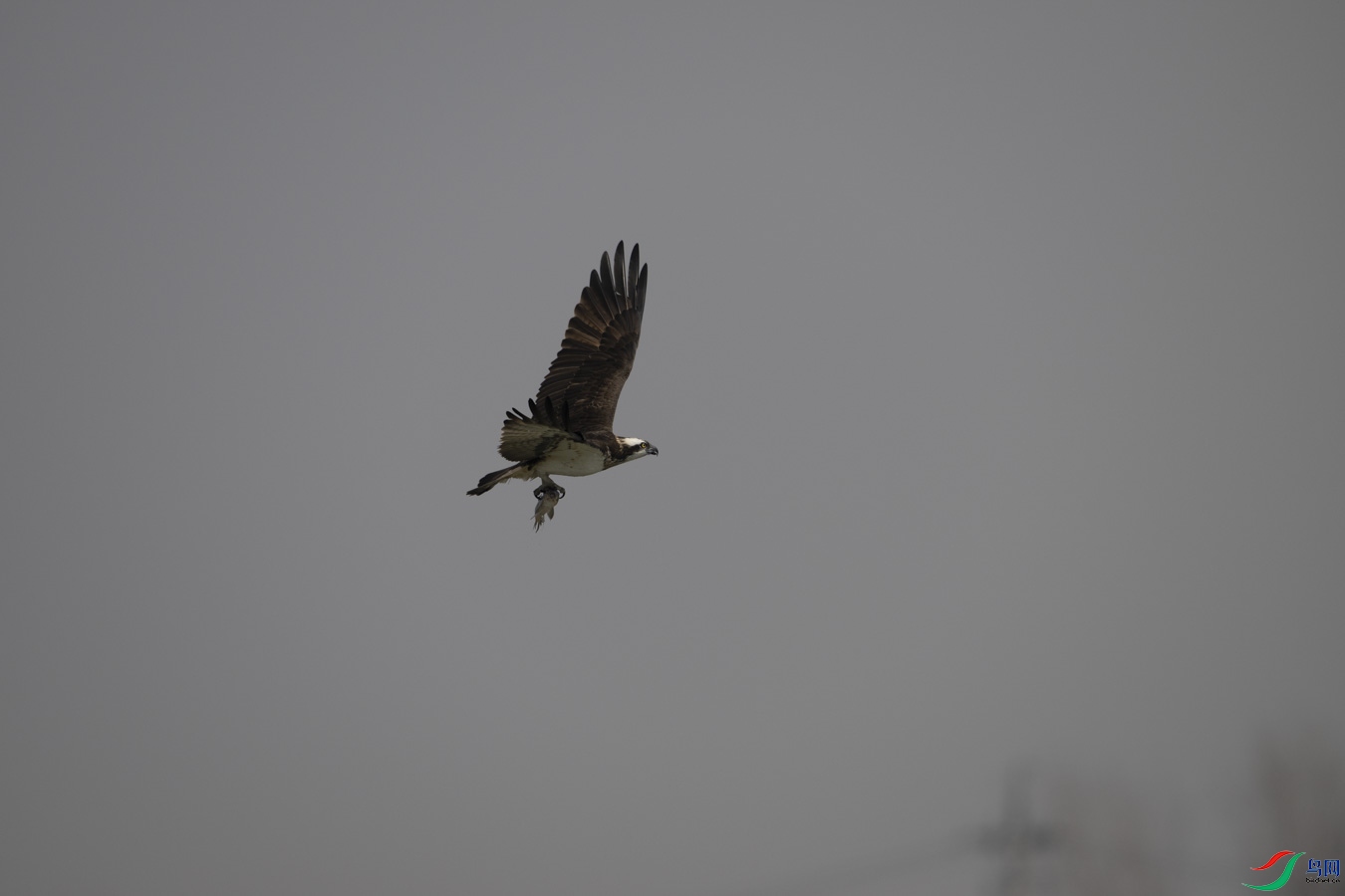 DSC_6346.jpg