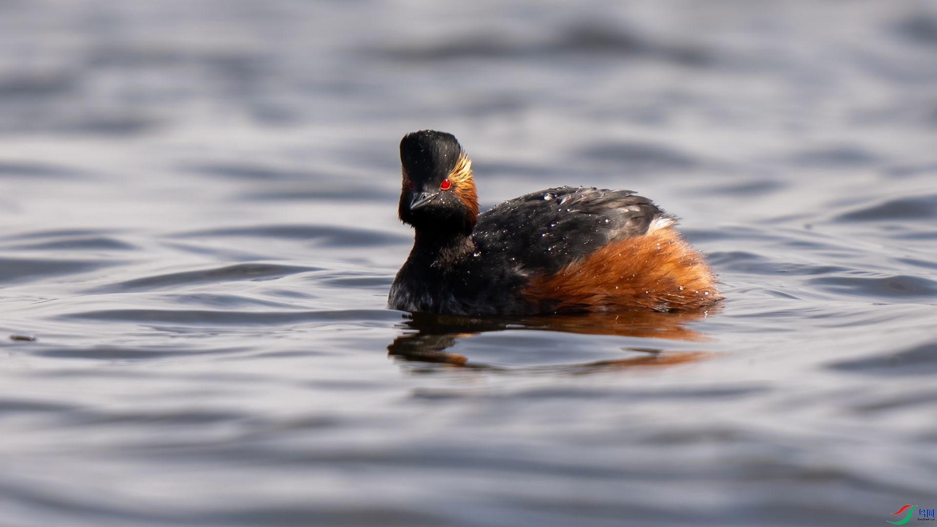 DSC07392 ����.jpg