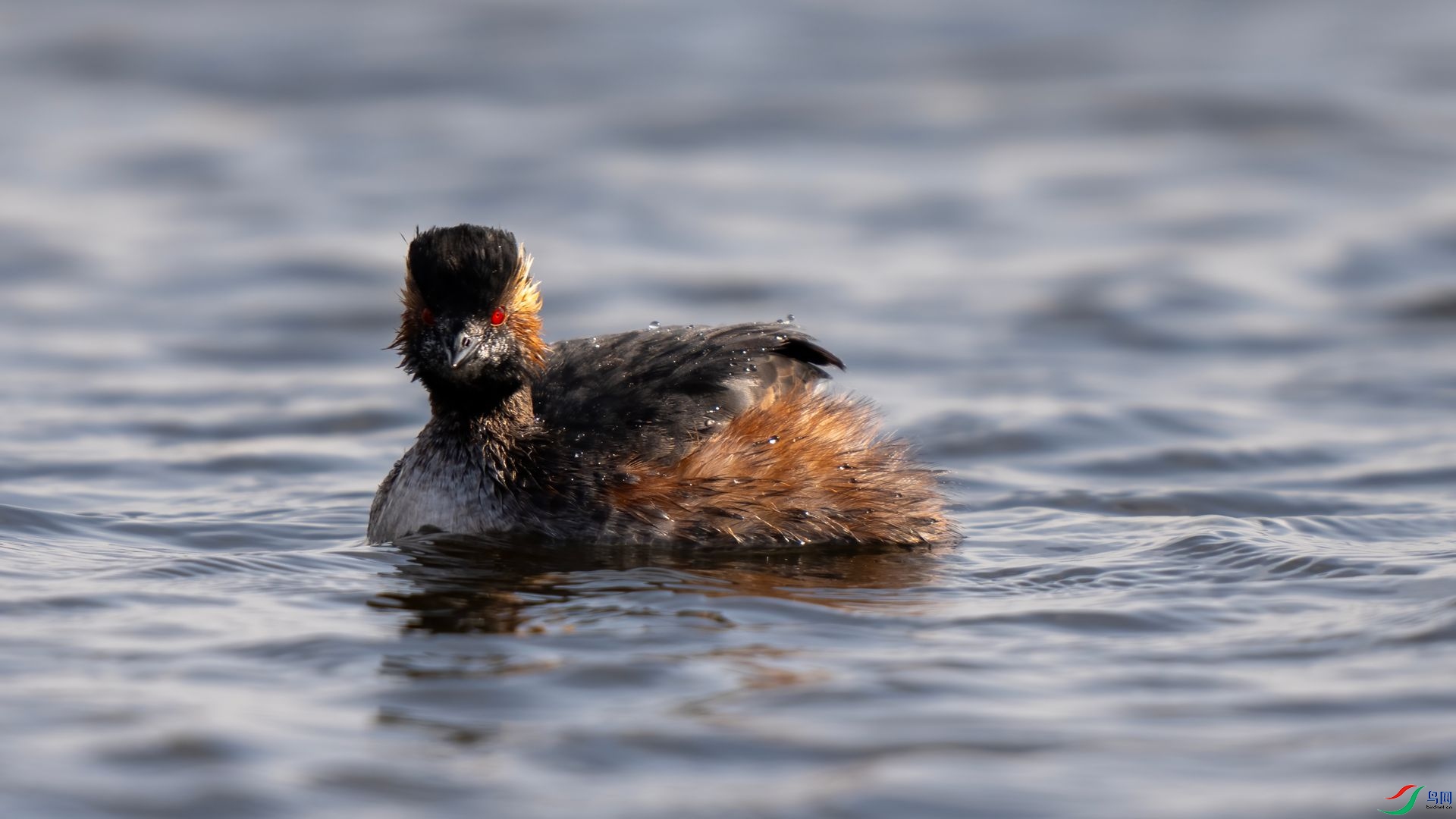 DSC07406 ����.jpg