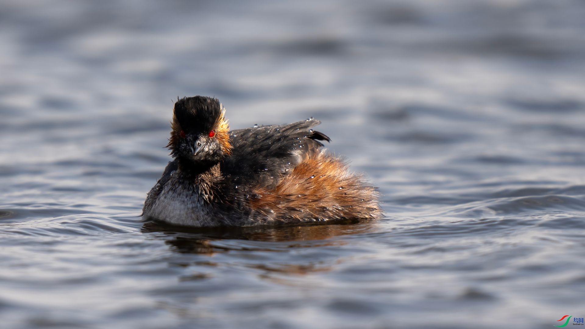 DSC07409 ����.jpg