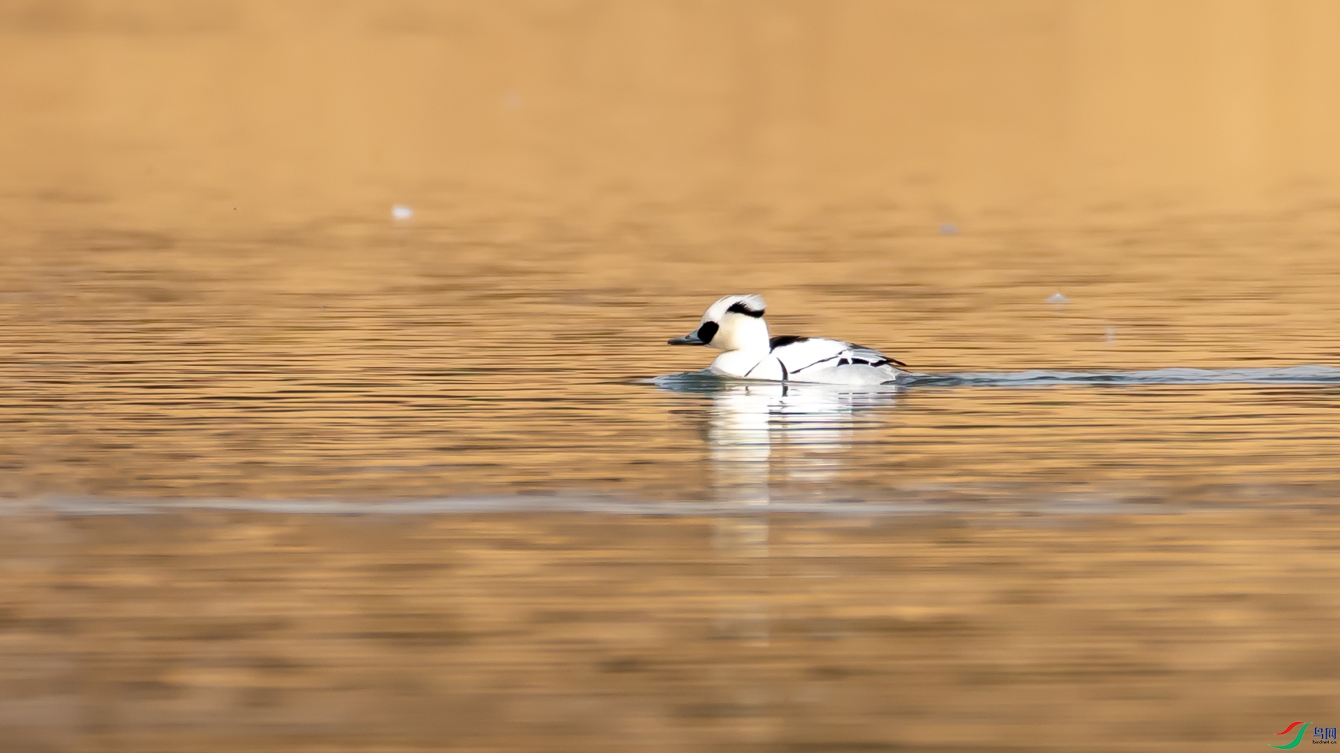 _DSC5383.jpg