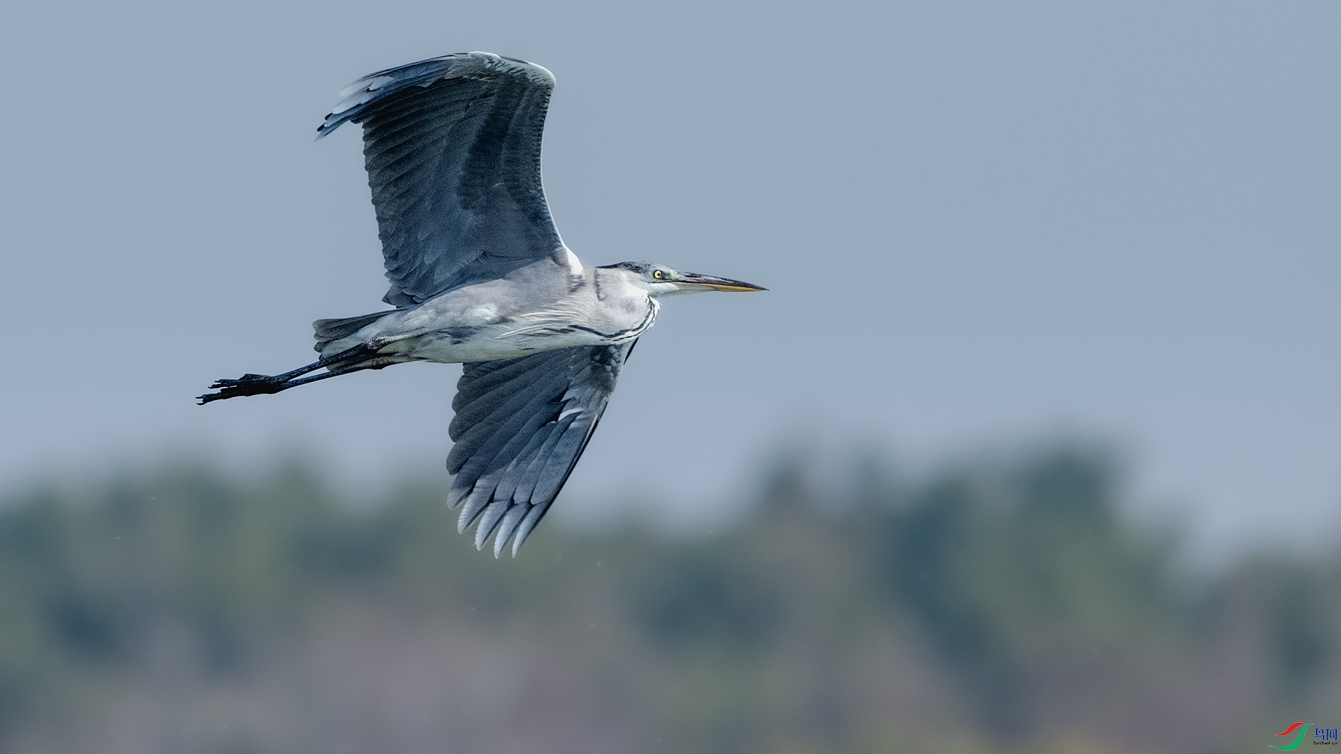 DSC_7124 ����.jpg