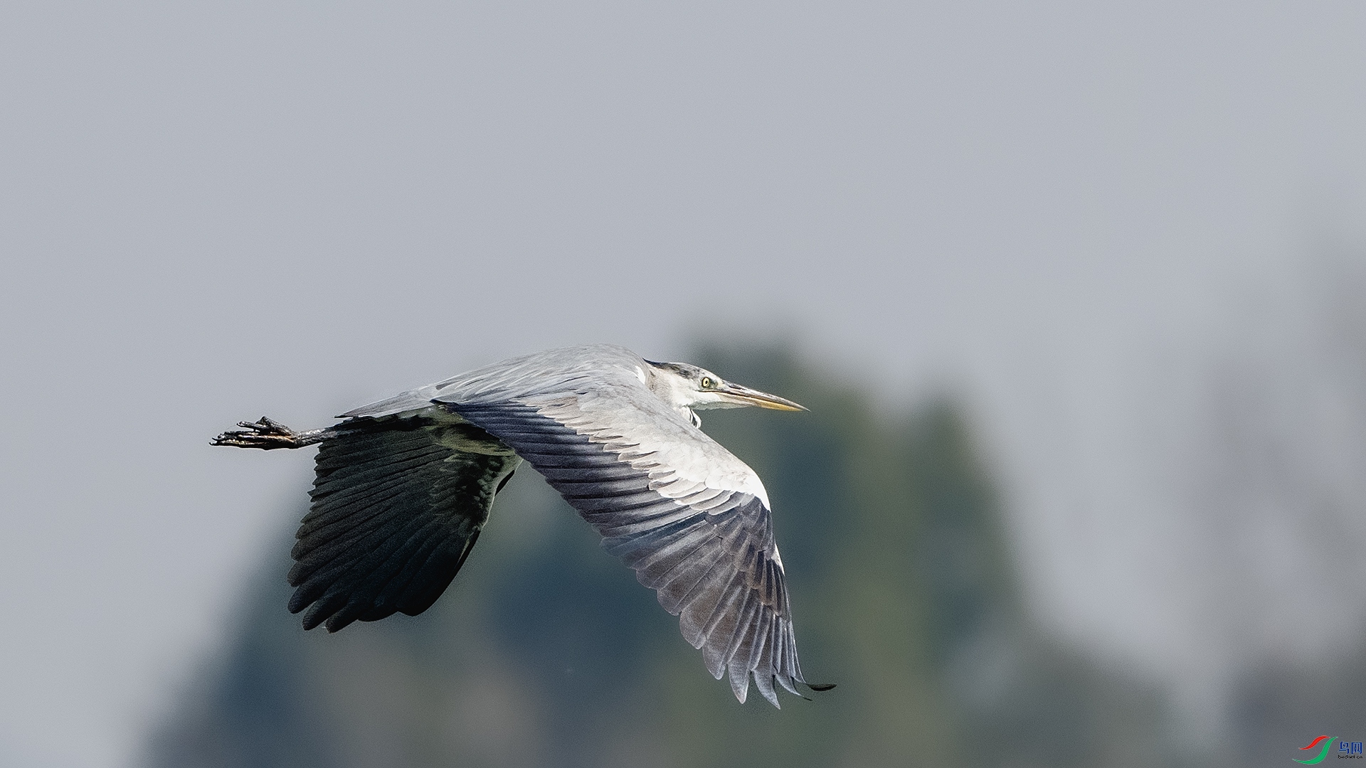 DSC_7147 ����.jpg