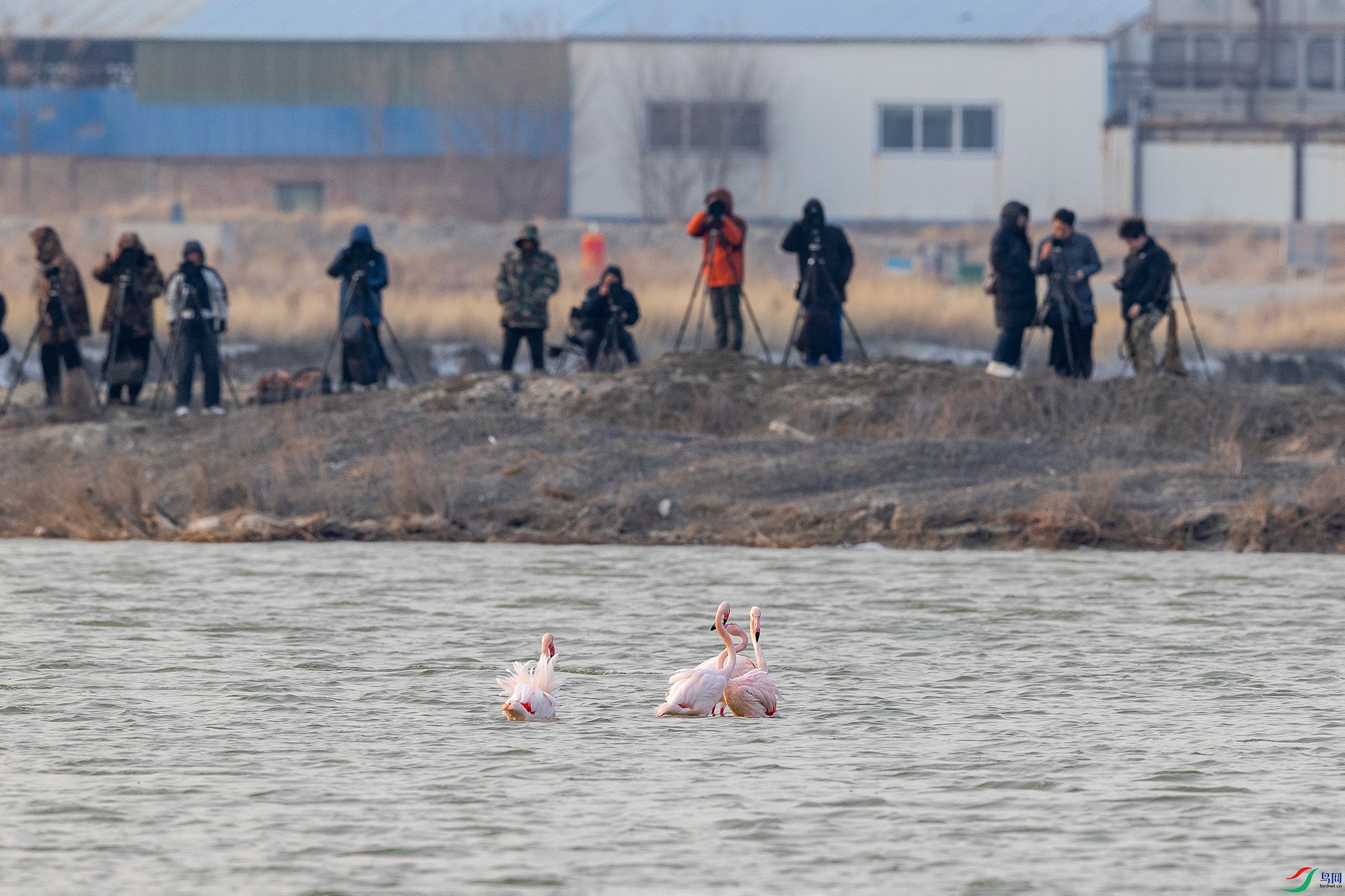 IMG_4179 ����.jpg