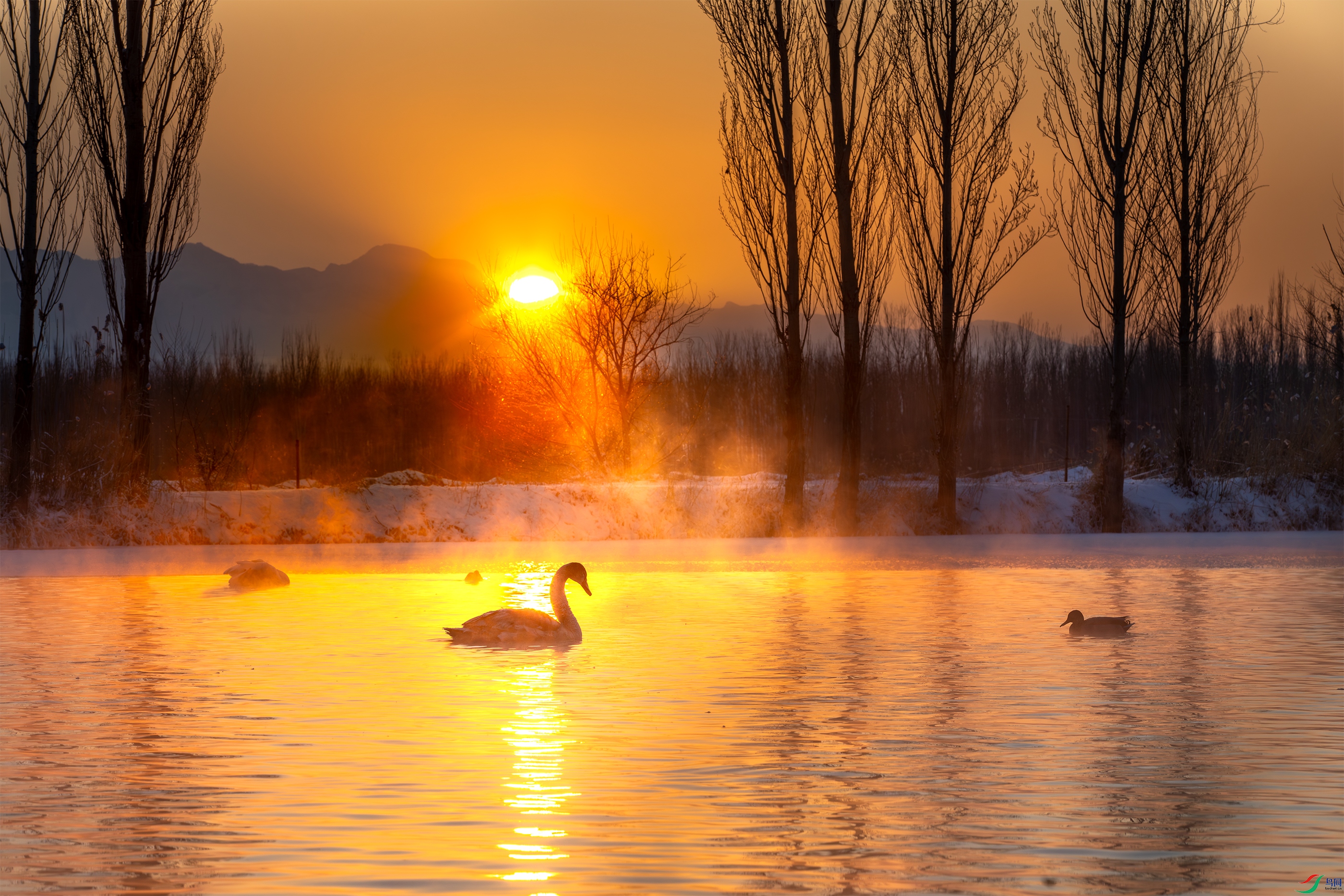 3S5A3193 ����.jpg