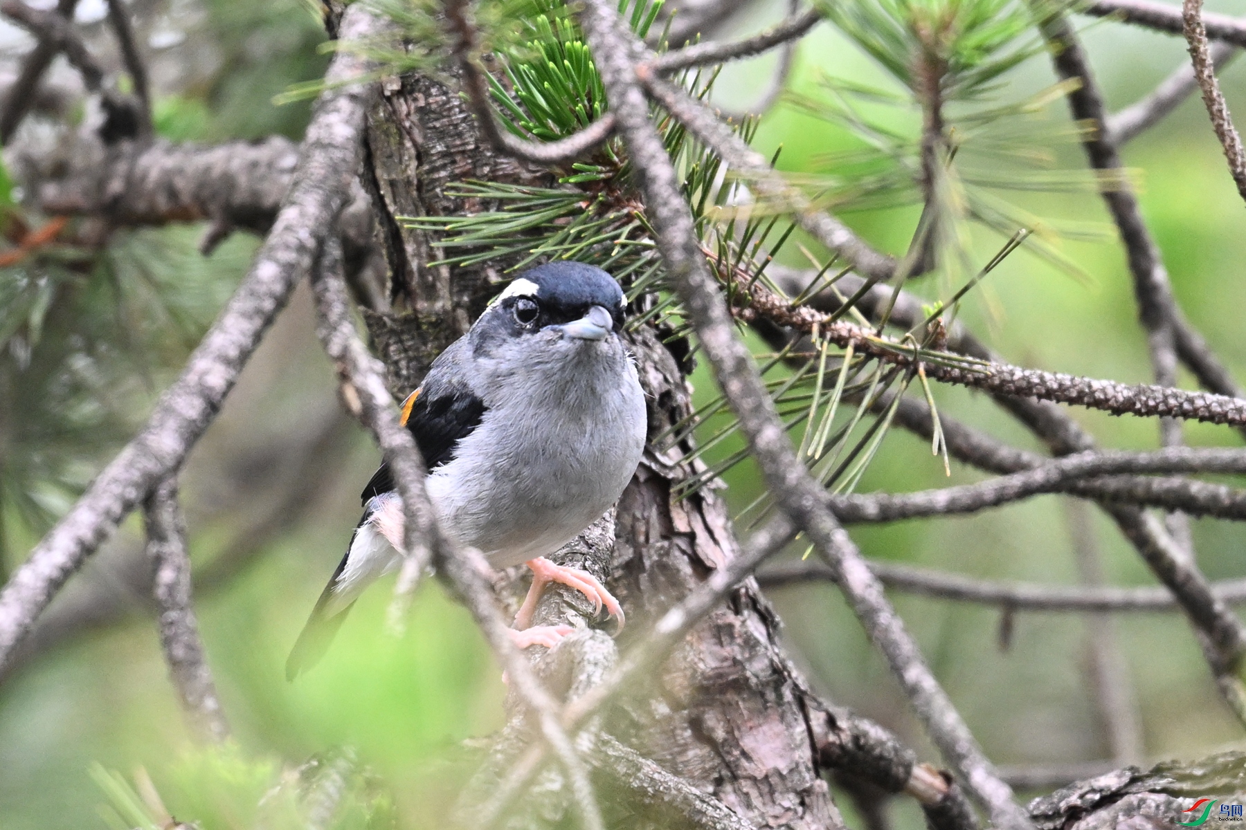 DSC_0933.JPG