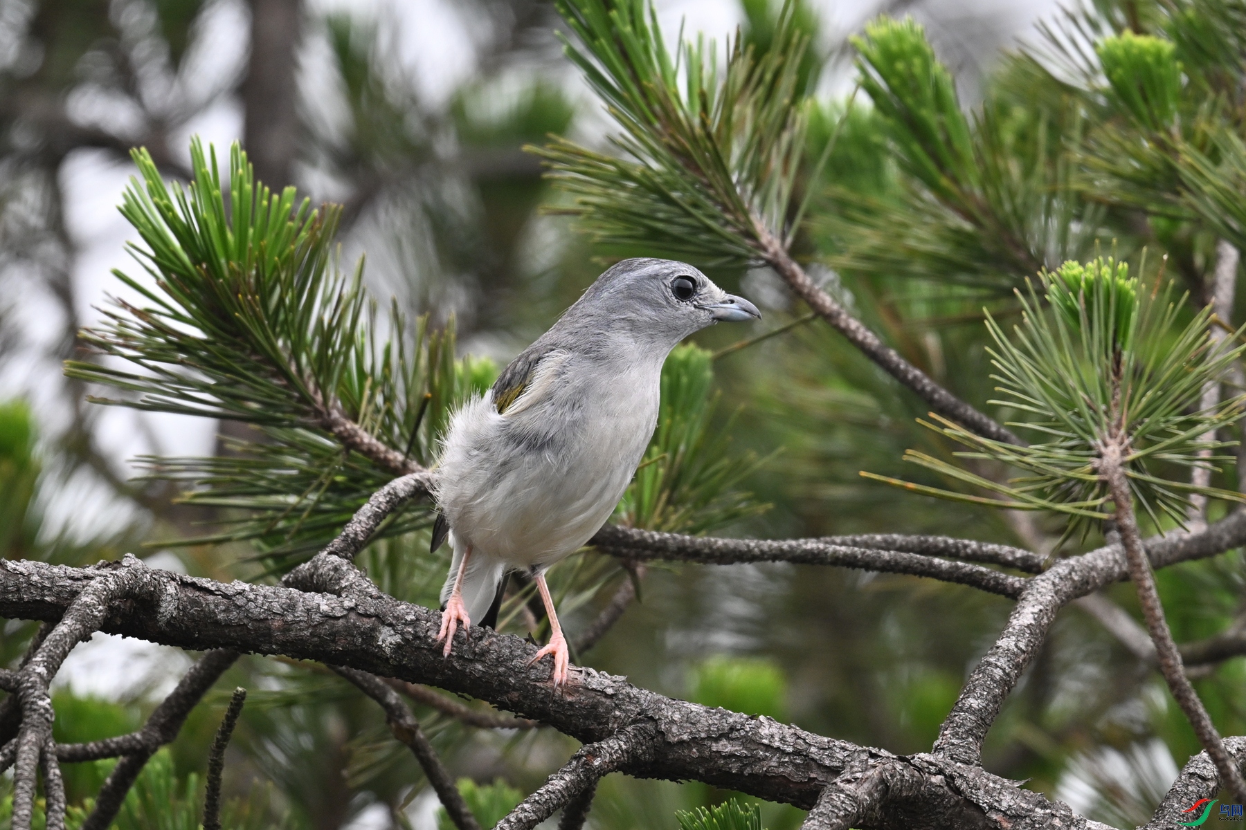 DSC_0904.JPG