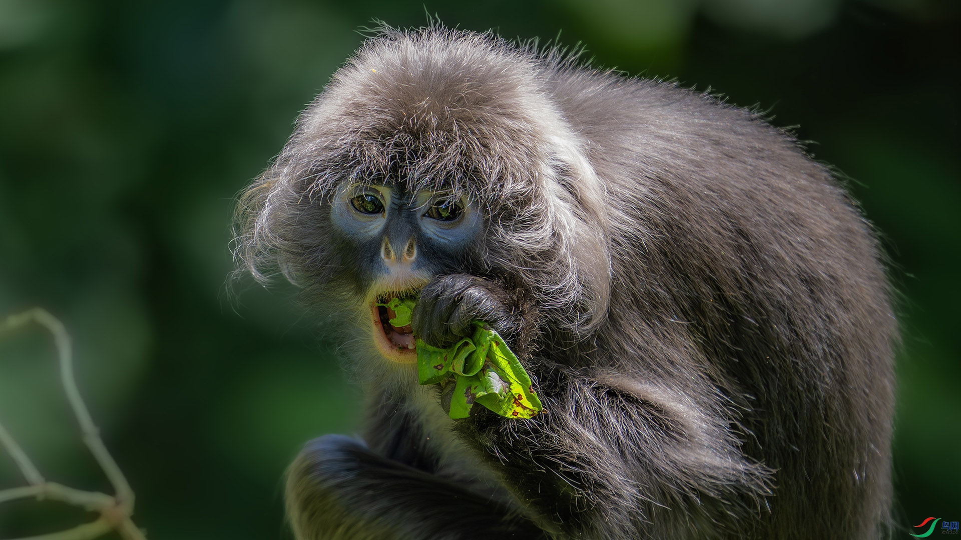 DSC_9763 ����.jpg