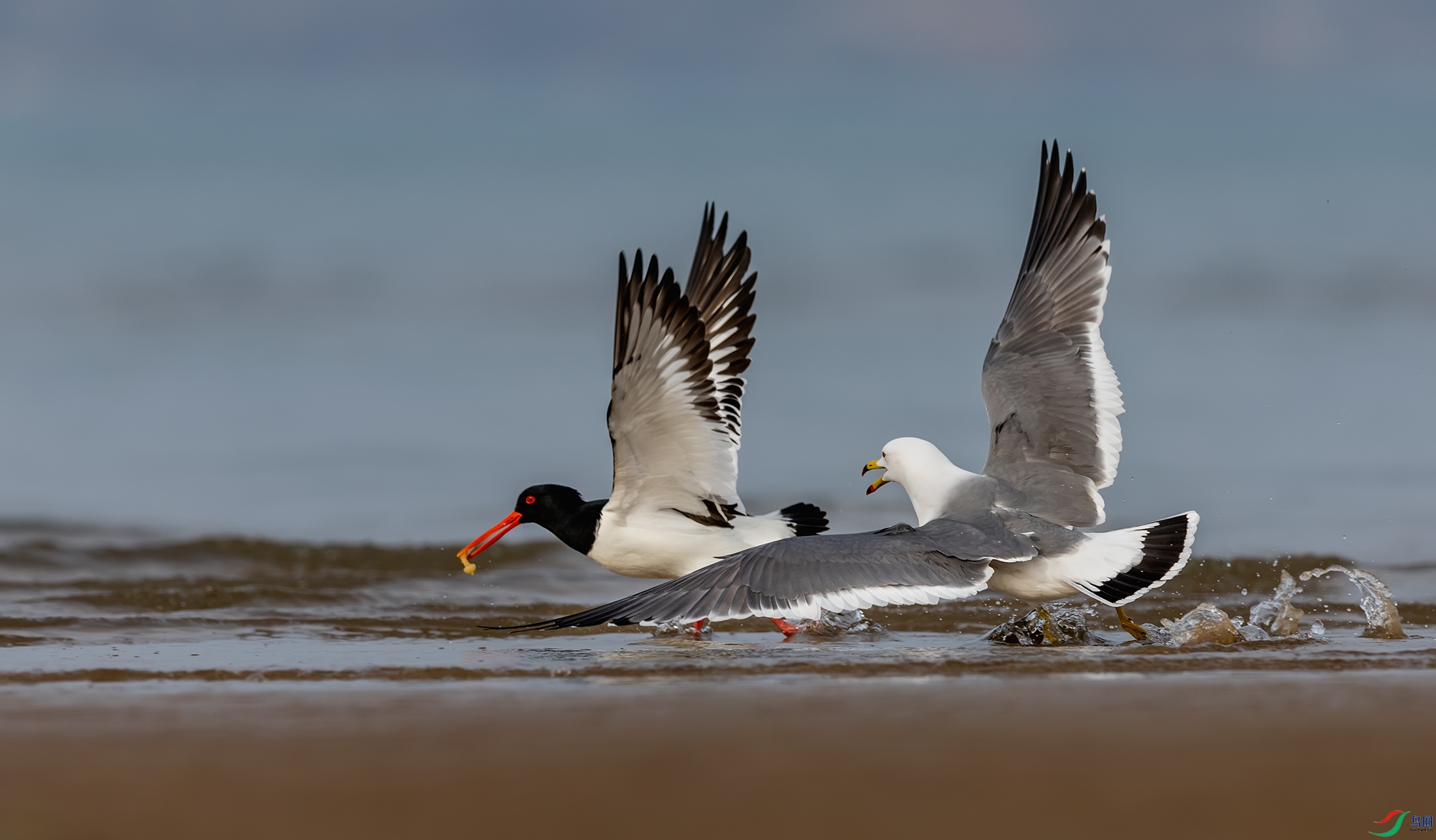 ��βŸ������