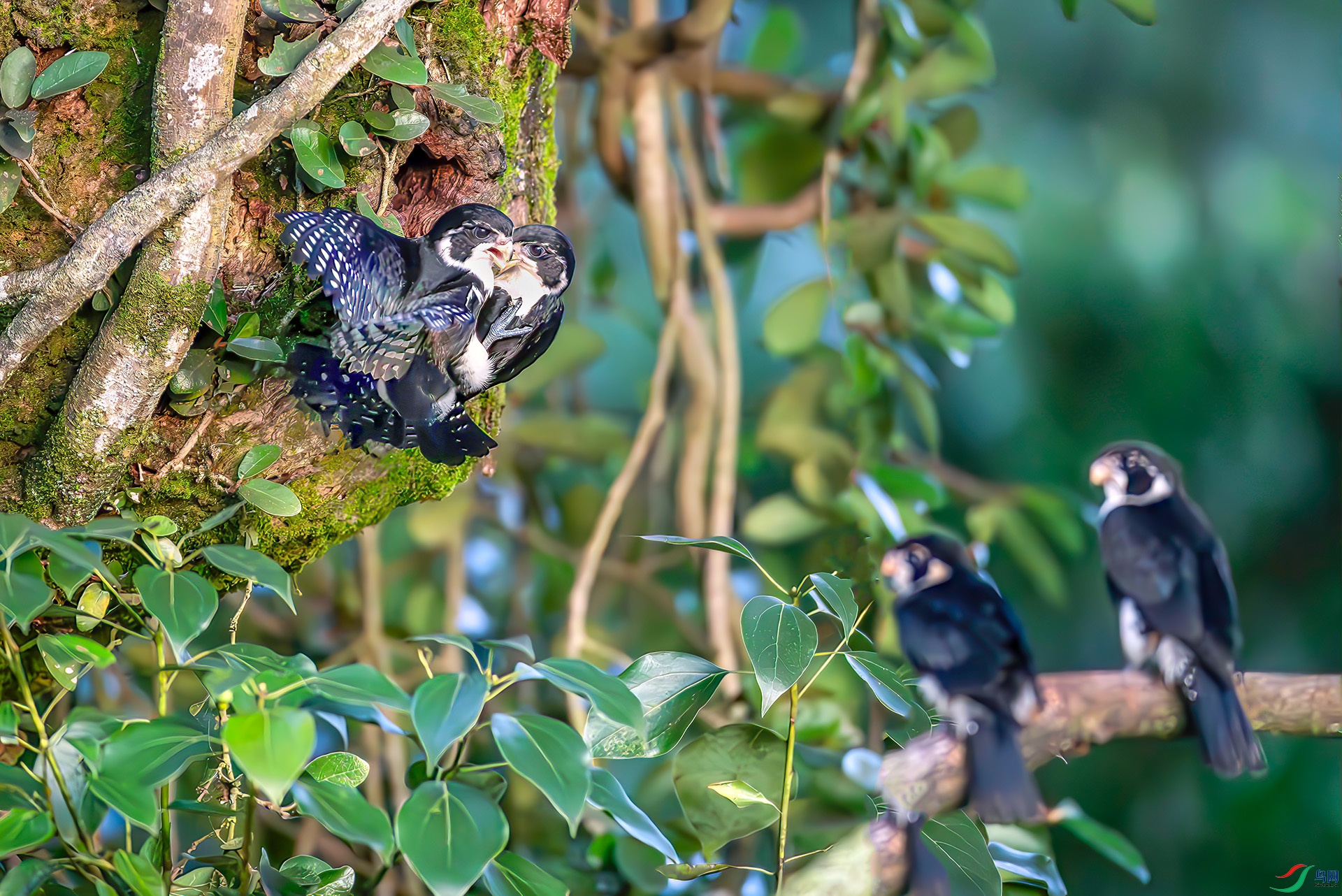 _S7I6077-----33  .jpg