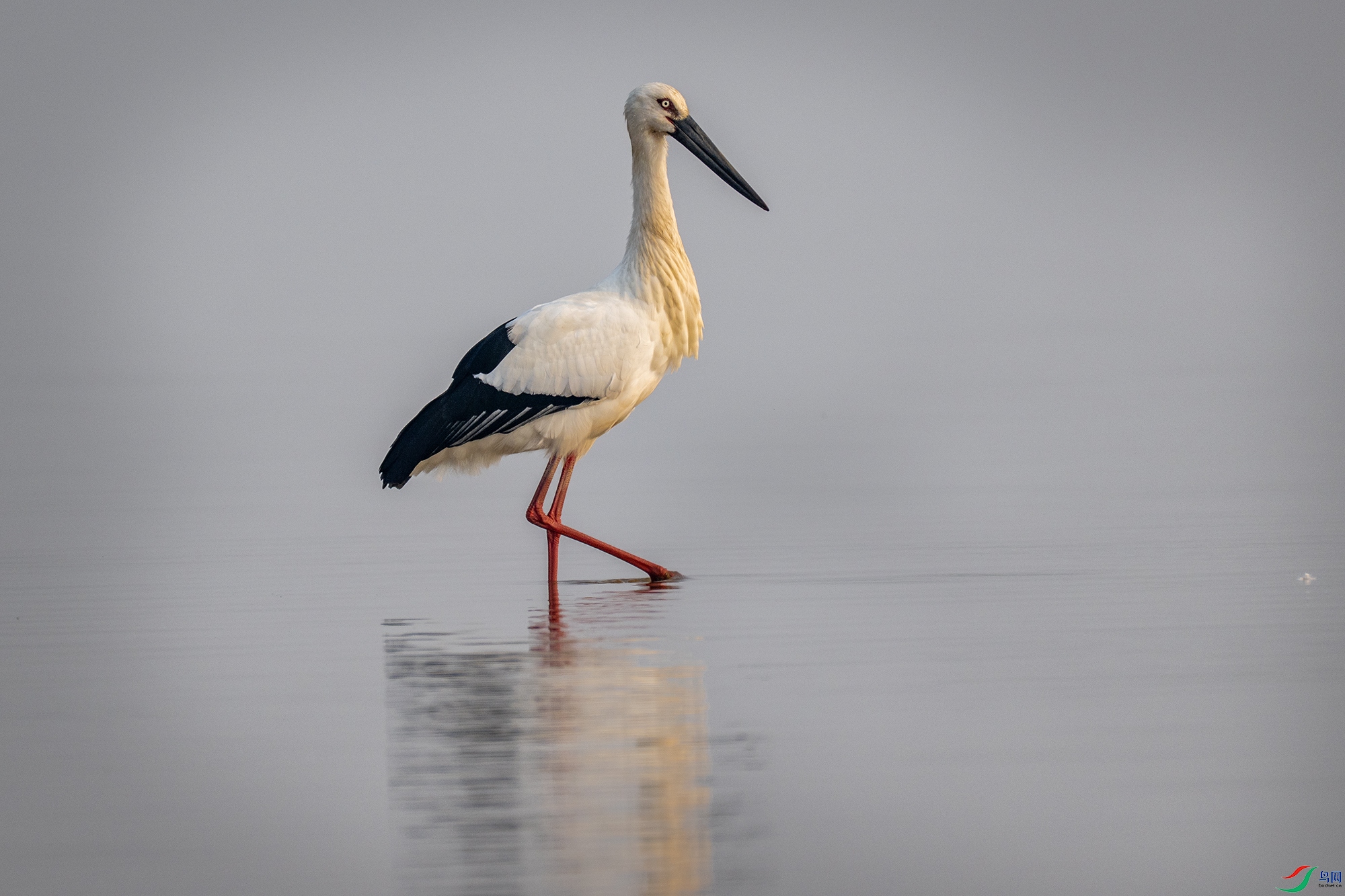 DSC_9880 ����22.jpg