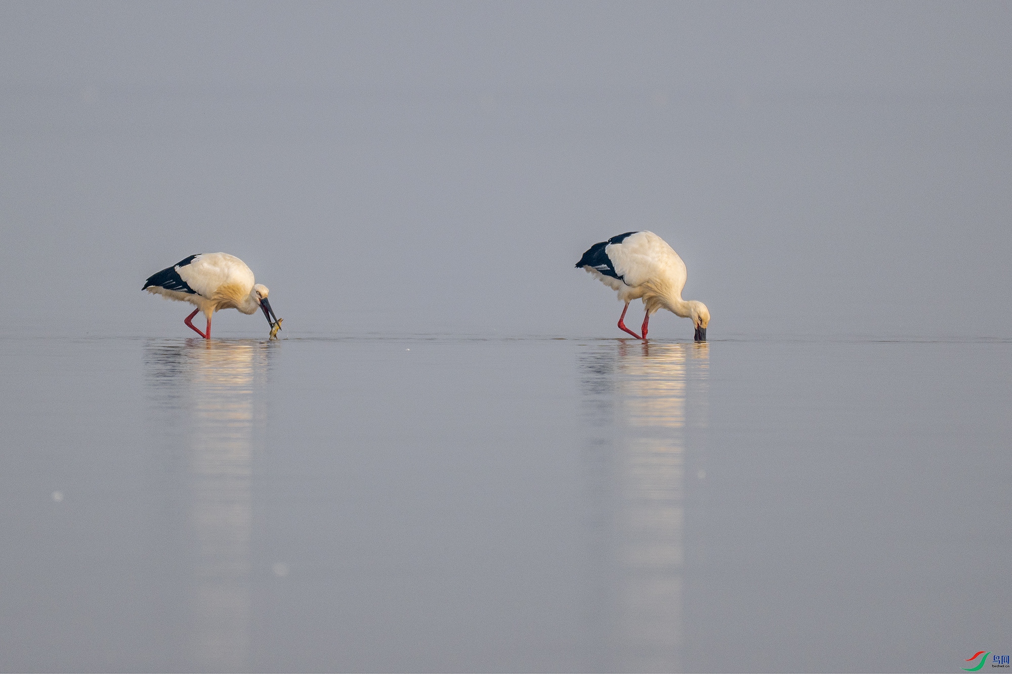 DSC_9963 ����22.jpg