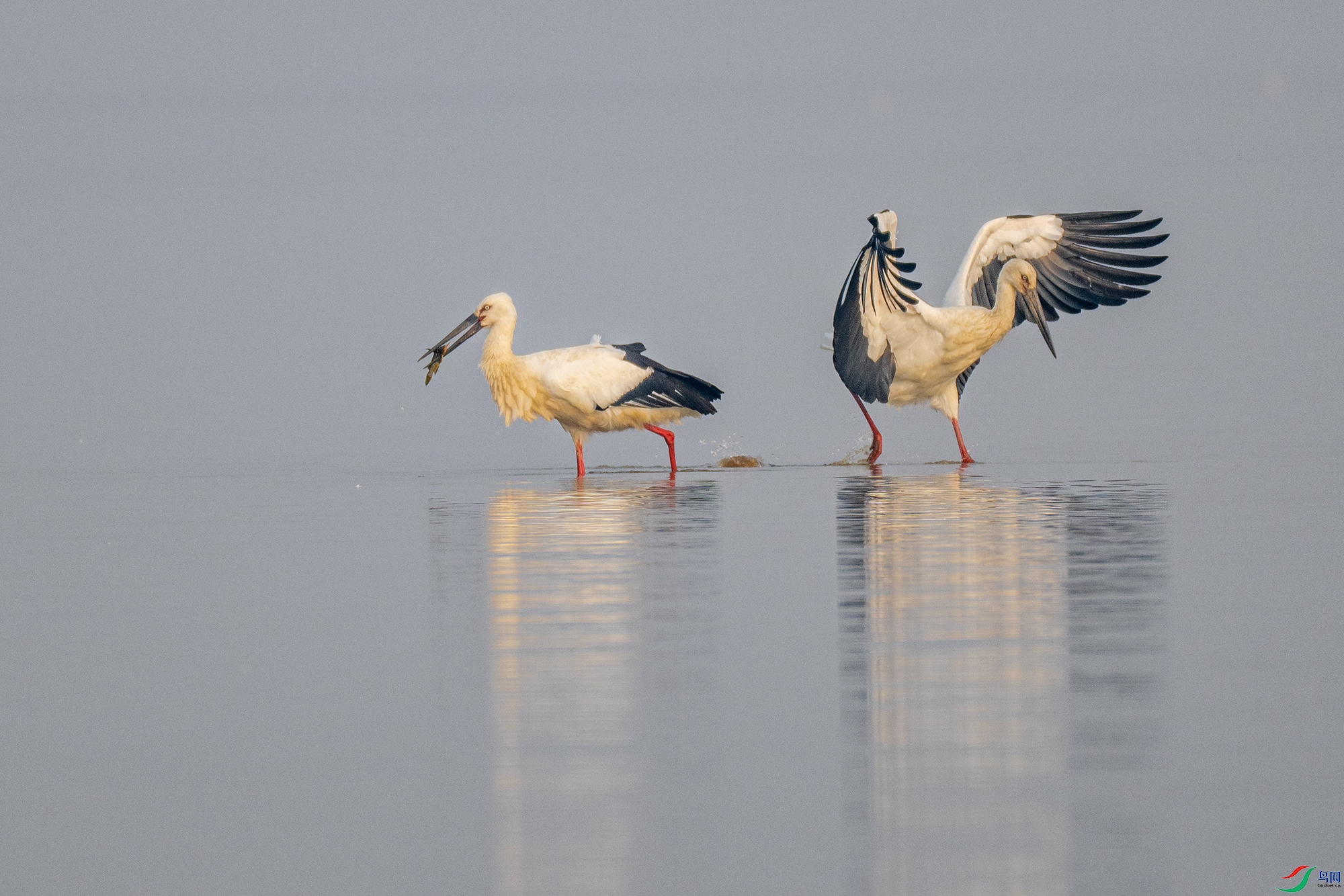 DSC_0026 ����22.jpg