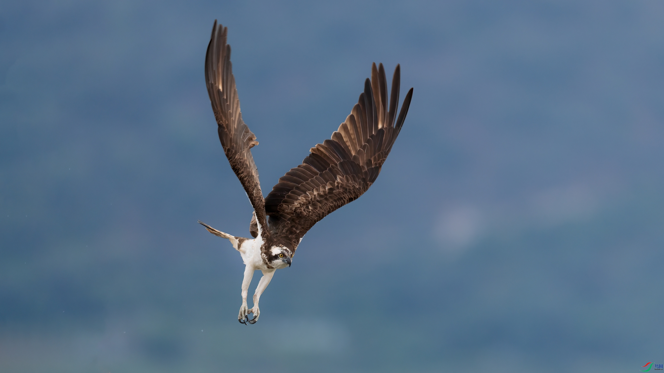 048A4680 ����1.jpg