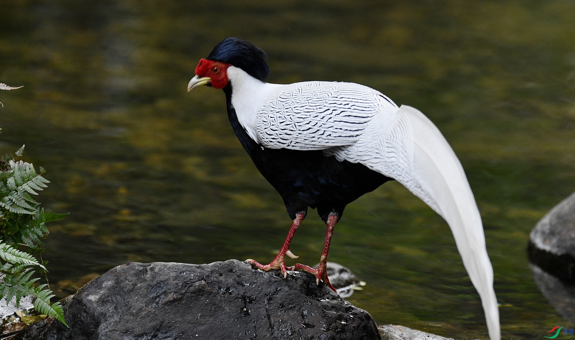 DSC_3201.jpg